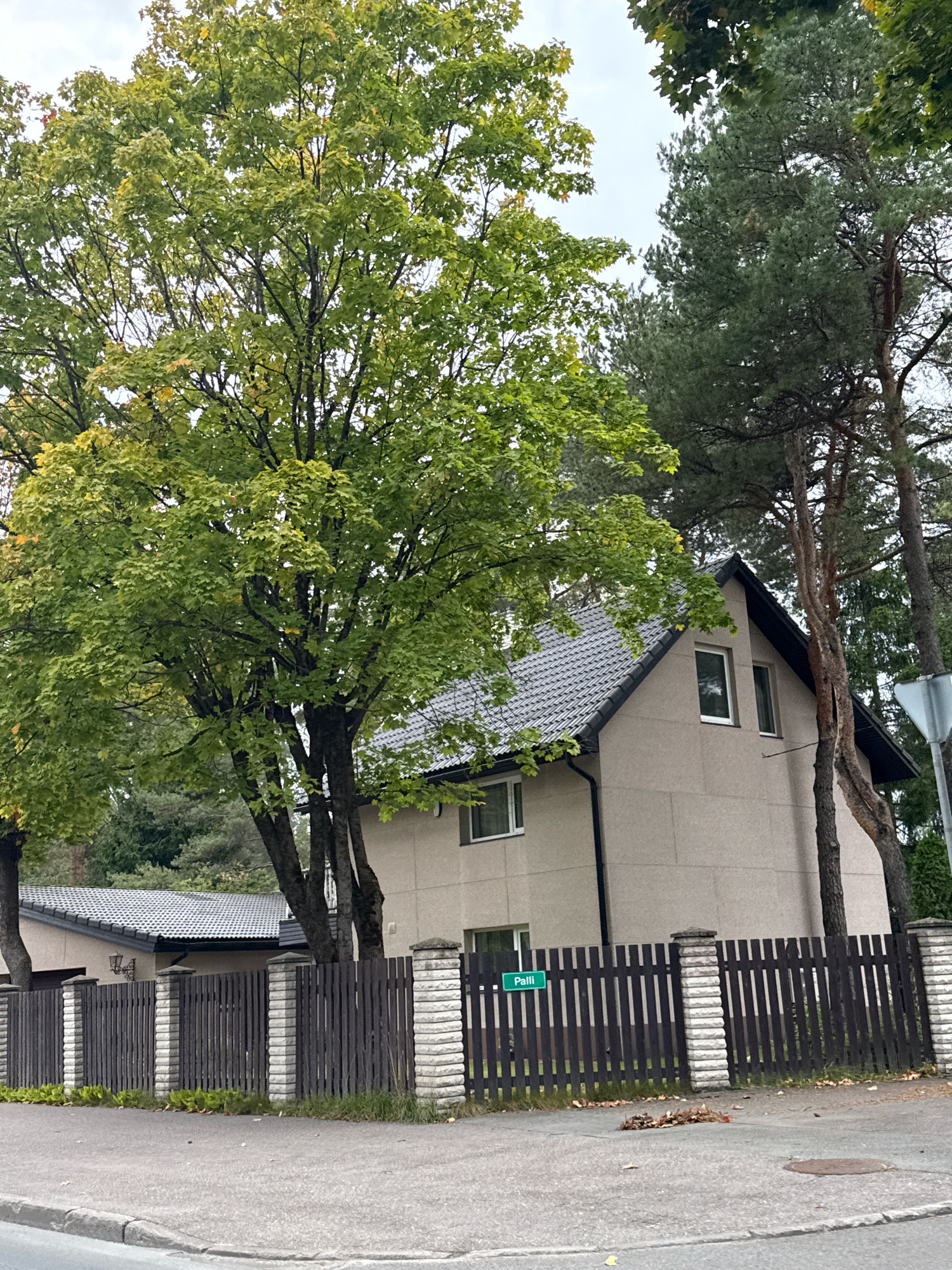 This is an outdoor, eye-level, medium shot of a residential property with a wooden fence and a house. The house is a two-story building with a beige exterior and a dark gray, sloped roof. There are two windows visible on the upper floor and one on the lower floor. A dark wooden fence with stone pillars runs along the front of the property. A street sign with "Palli" in green lettering is attached to the fence. Several trees, including a large deciduous tree with green leaves and a tall pine tree, are visible in front of and behind the house. The ground in front of the fence is paved, and a pile of fallen leaves is present on the sidewalk. The sky is overcast. The image is likely taken in the city of Tallinn, Estonia, given the presence of the "Palli" street sign, which is a common street name in Tallinn.