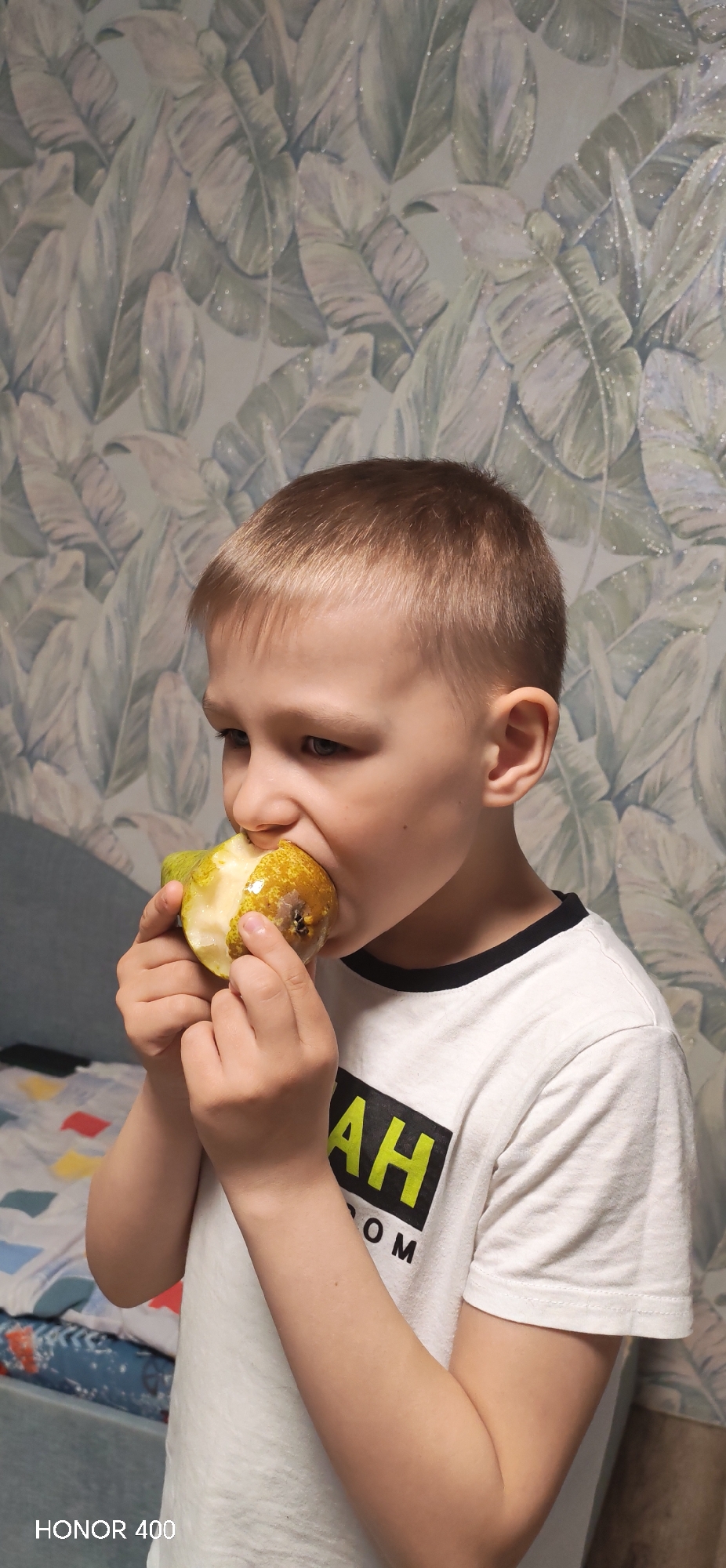 A young boy, likely around 6-8 years old, is captured in a vertical, medium-close-up shot, absorbed in eating a pear. He has short, light brown hair and light-colored eyes, which are directed downwards and slightly to his right, focusing on the fruit. He is wearing a white t-shirt with a black collar and a graphic design featuring large, bright green capital letters against a black rectangular background. The visible letters spell "AH" with "OM" directly below it, suggesting part of a larger word or phrase.
The boy holds the partially eaten pear with both hands, bringing it to his mouth. The pear is greenish-yellow, and the part he's biting into shows some browning or bruising, indicating it's quite ripe or has been handled.
The setting appears to be indoors, specifically a room in Noviy, Russia. The background features a distinctive light blue-green wallpaper with a repeating pattern of large, stylized tropical or botanical leaves in various shades of blue, green, and white. The wallpaper also has scattered glitter-like specks, adding a subtle shimmer. To the left and behind the boy, a part of a bed or couch is visible, covered with a colorful patterned blanket or bedding, featuring geometric shapes in blue, red, and white.
The lighting suggests an indoor setting, possibly artificial, without strong indicators of a specific time of day. The boy's expression is one of concentration as he eats. A "HONOR 400" watermark is visible in the bottom left corner of the image.