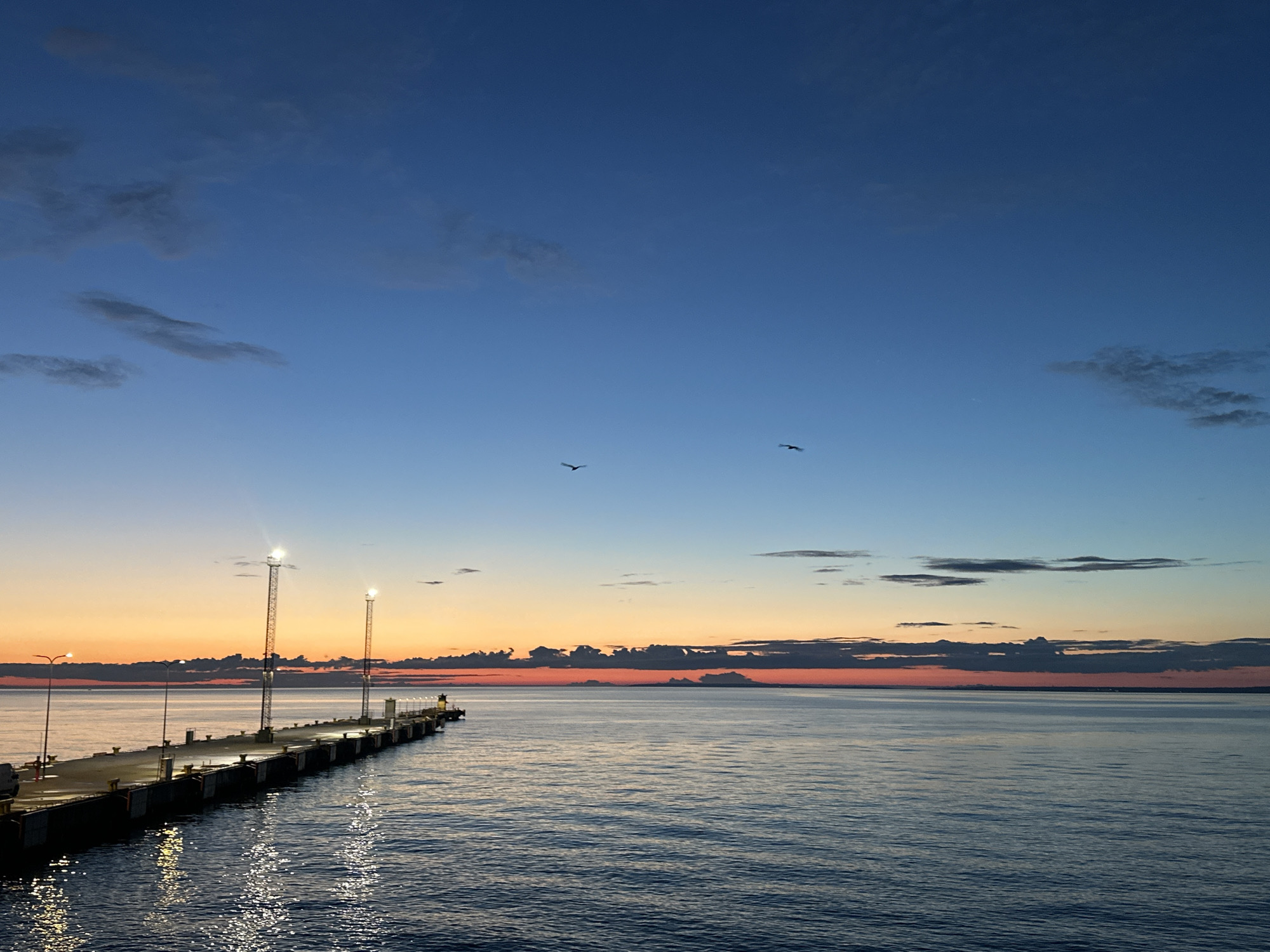This is a photograph taken at dawn or dusk, likely from a ferry or a boat approaching Tallinn, Estonia. The scene is dominated by a vast expanse of calm, deep blue water reflecting the colorful sky. The sky transitions from a vibrant orange and pink near the horizon to a deep, serene blue overhead, with scattered wispy clouds.
In the foreground, a long, concrete pier juts out into the water from the left side of the frame. The pier is lined with light poles, some of which are illuminated, casting bright reflections on the water. There are a few small, dark figures visible on the pier, possibly people, but they are not clearly discernible. Two birds are captured in flight against the sky, adding a sense of movement to the serene landscape.
The distant horizon shows a faint outline of land, which is likely the coastline of Tallinn. The overall impression is one of tranquility and the beauty of nature at the beginning or end of the day. The photograph has been taken with a wide-angle lens, capturing a broad view of the seascape. The lighting conditions suggest that the sun is either just below the horizon or has recently set.