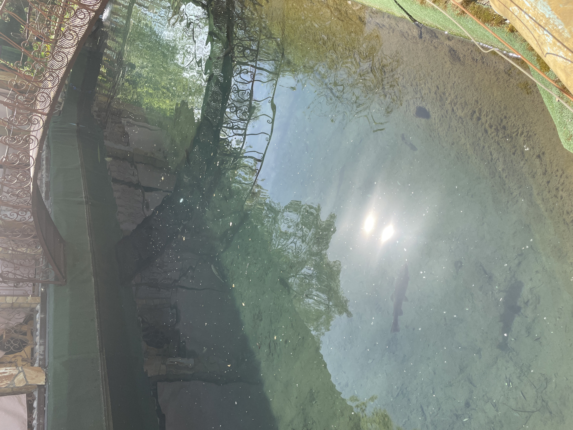 The image depicts a water body, possibly a small pond or reservoir, with clear water reflecting sunlight and surrounding vegetation. Several fish are visible in the water. A decorative metal fence or railing lines part of the water's edge. Green grass or turf is present near the water on one side. The image is taken at the Rakam Stone, near Perm, Russia.