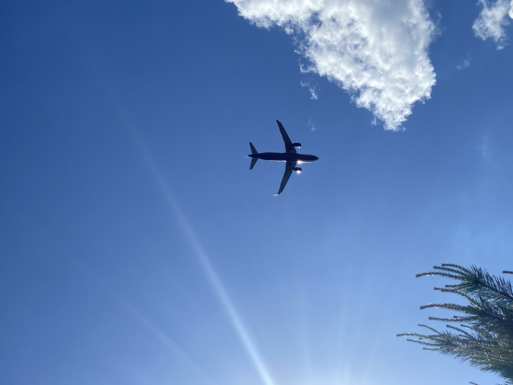 An airplane is flying overhead in a blue sky with a few clouds. The sun is shining brightly, creating a lens flare. In the lower right corner, part of a palm tree is visible. The location is unknown, not necessarily in Tyumen, Russia.