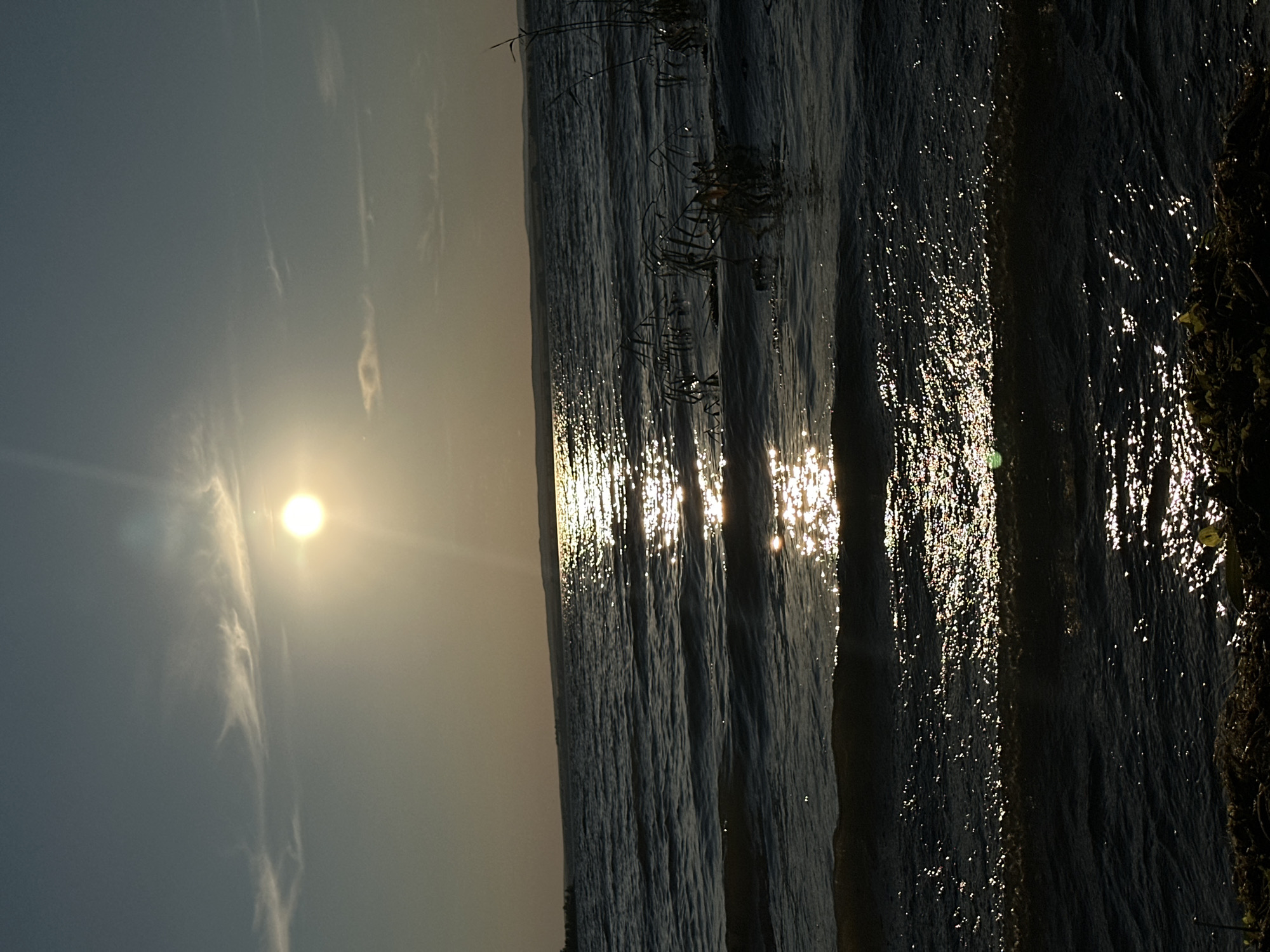 The image depicts a tranquil sunset over a body of water, likely a lake or large river, with the sun casting a shimmering path across the rippling surface. The sky is a gradient of pale blue and soft yellow, with thin, wispy clouds streaking across the upper portion. The sun, a bright, luminous orb, is positioned high in the sky, its rays creating a dazzling reflection on the water. In the foreground, the dark water is further illuminated by the sun's glow, with small waves breaking gently. On the right side of the frame, tall reeds or grasses are visible, emerging from the water. The distant shoreline appears as a dark, undulating line against the horizon. The scene is devoid of any human presence or discernible man-made structures, conveying a sense of natural serenity. Based on the provided context, this scene is located in the city of Energetik, Russia.