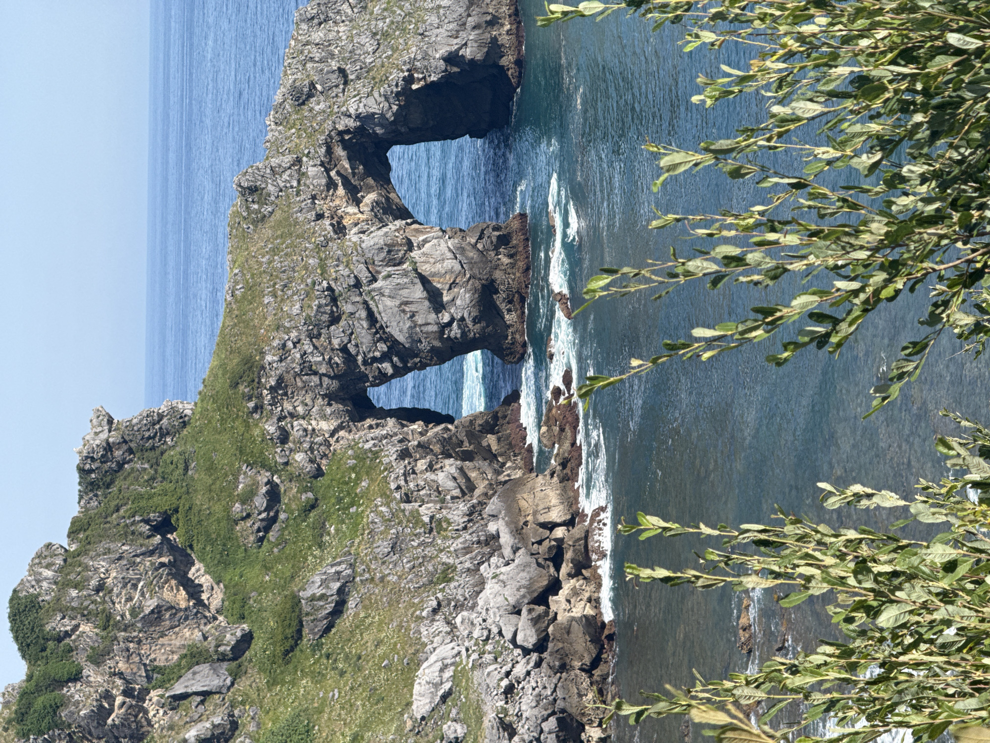 The image depicts the San Juan de Gaztelugatxe islet, a popular tourist destination located near Bermeo, Spain. The islet features a dramatic rock formation with two arches carved by the sea. Lush green vegetation covers the cliffs and the rock arches, contrasting with the deep blue of the ocean. Waves crash against the rocks, creating white foam. The sky is clear and blue, suggesting a sunny day. In the foreground, the tops of green leafy branches are visible, framing the scene.