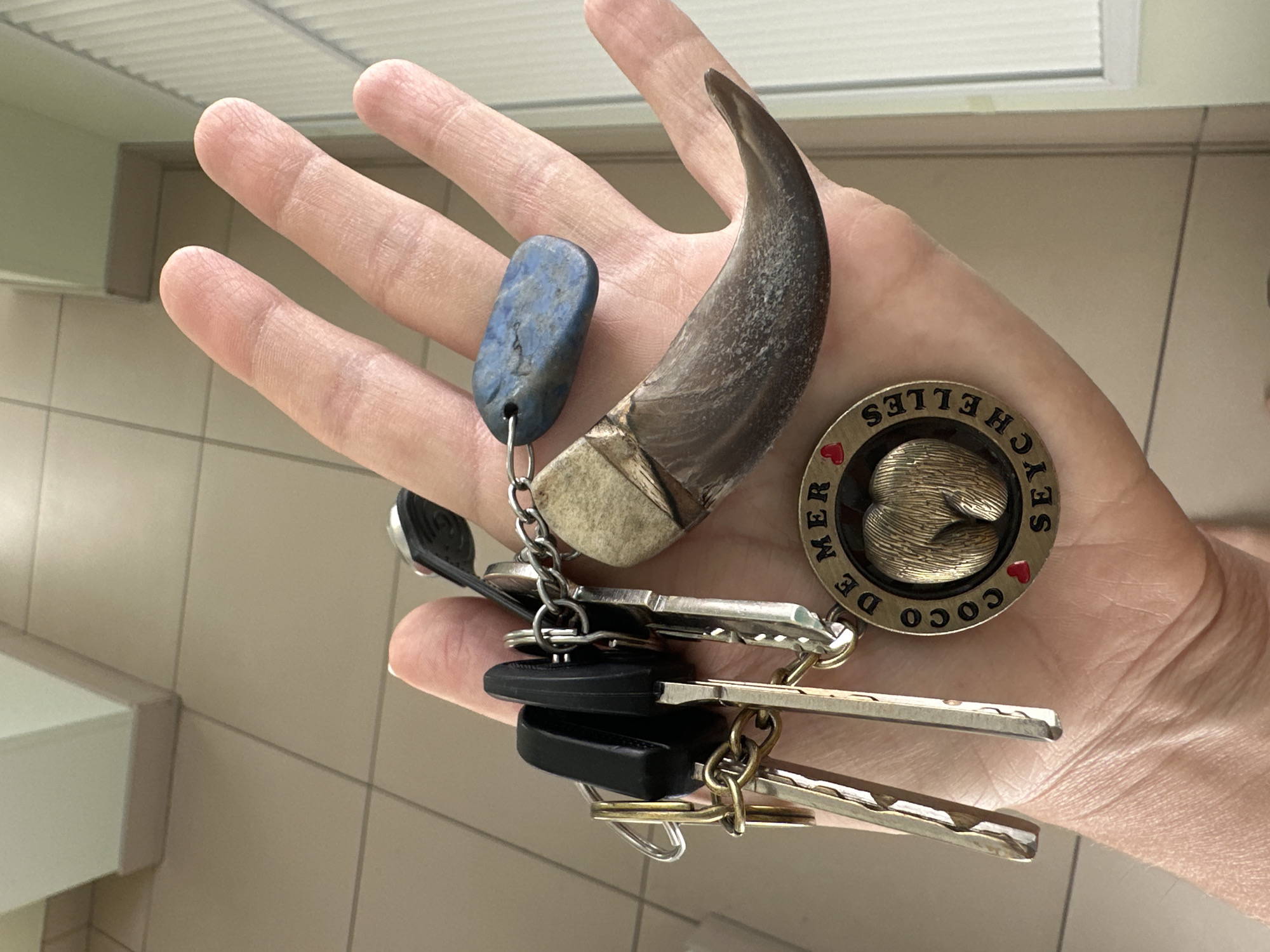 A person's open hand displays a collection of keys and assorted trinkets. The keys, a mix of metallic silver and gold, are attached to a ring with a black fob. Dangling from the same ring are a blue, oval-shaped stone, a large animal claw with a light-colored base, and a circular brass charm featuring an engraved image of a coconut and the inscription "COCO DE MER SEYCHELLES." The hand is positioned against a tiled floor and a wall with a light green vertical panel. The scene is well-lit, suggesting an indoor environment. No specific location in Novoaltaysk, Russia, can be determined from the image.