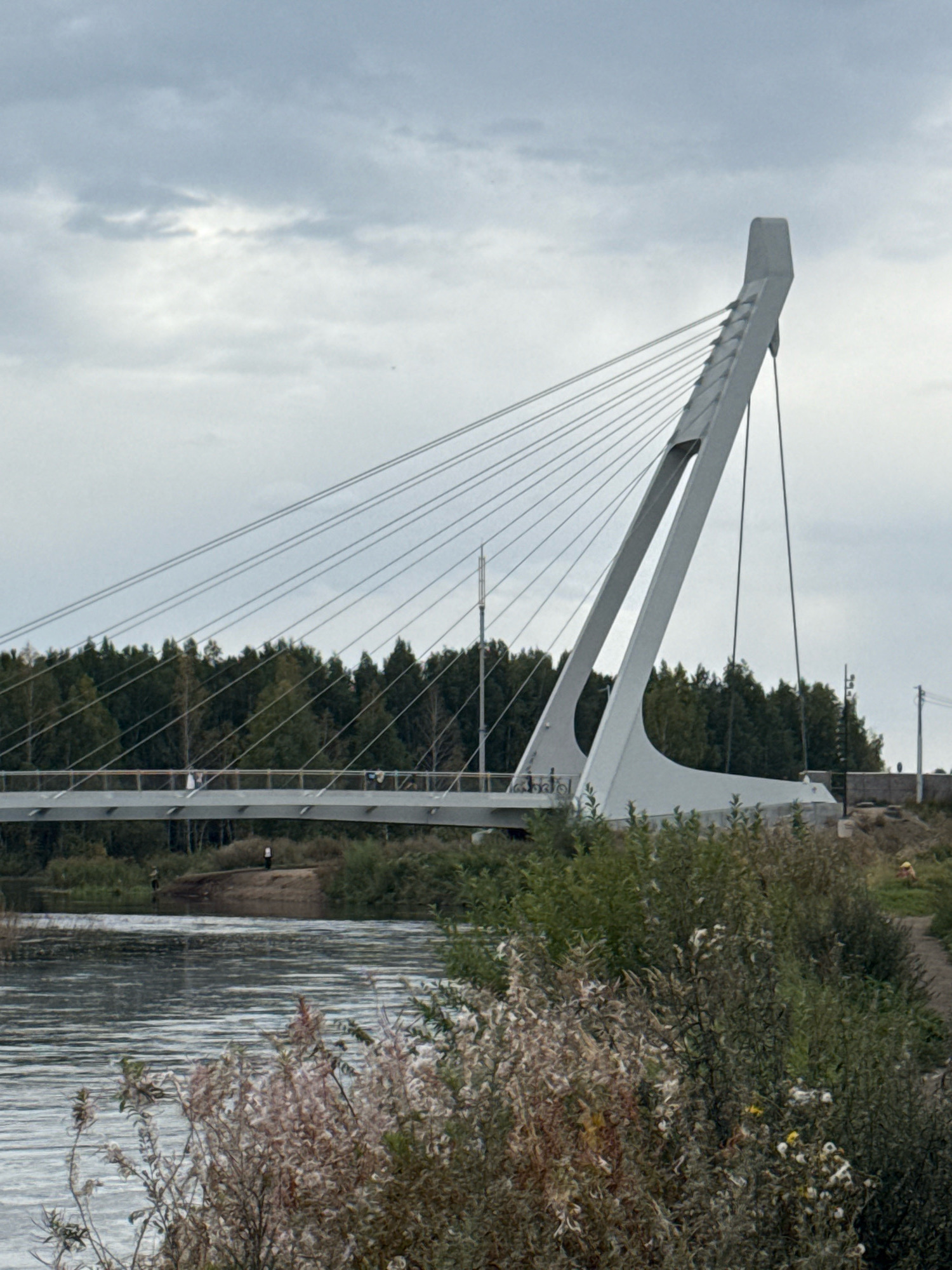 The image shows a modern cable-stayed bridge spanning a body of water, likely a river, with a densely wooded area on the far bank. The bridge features a prominent, angled pylon from which multiple cables extend to support the bridge deck. The sky is overcast and a pale gray.
In the foreground, there is an area of dense vegetation and some dry grasses. The water in the river is rippled, reflecting the overcast sky.
On the bridge, several figures can be observed. Two individuals are standing close together near the center of the bridge, possibly a couple. Another individual is standing further down the bridge. On the bank of the river, on the left side of the image, two individuals are visible, one of whom appears to be fishing. On the right side of the image, a person wearing a yellow hard hat is visible in a grassy area.
The overall scene suggests an outdoor recreational area or a scenic viewpoint. The architecture of the bridge is a focal point, standing in contrast to the natural landscape. The location is identified as Chelyabinsk, Russia.