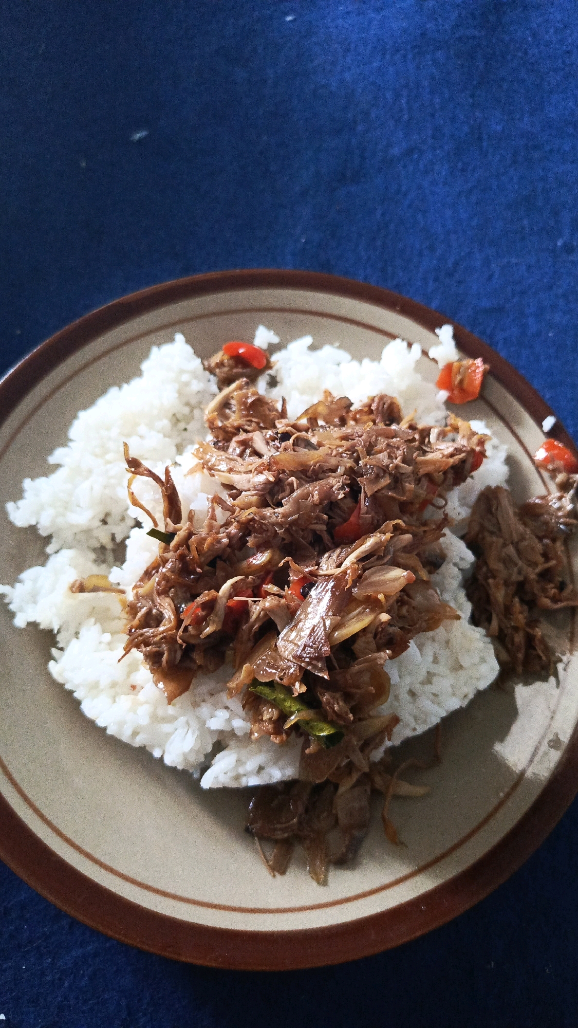 A close-up, overhead shot shows a plate of food, likely in Babadan, Indonesia. The plate contains white rice topped with a savory shredded meat dish. The meat appears to be seasoned with spices and possibly chili peppers, as indicated by small red pieces visible. The dish is presented on a ceramic plate with a brown rim. The plate rests on a dark blue, textured surface, possibly a tablecloth or placemat.