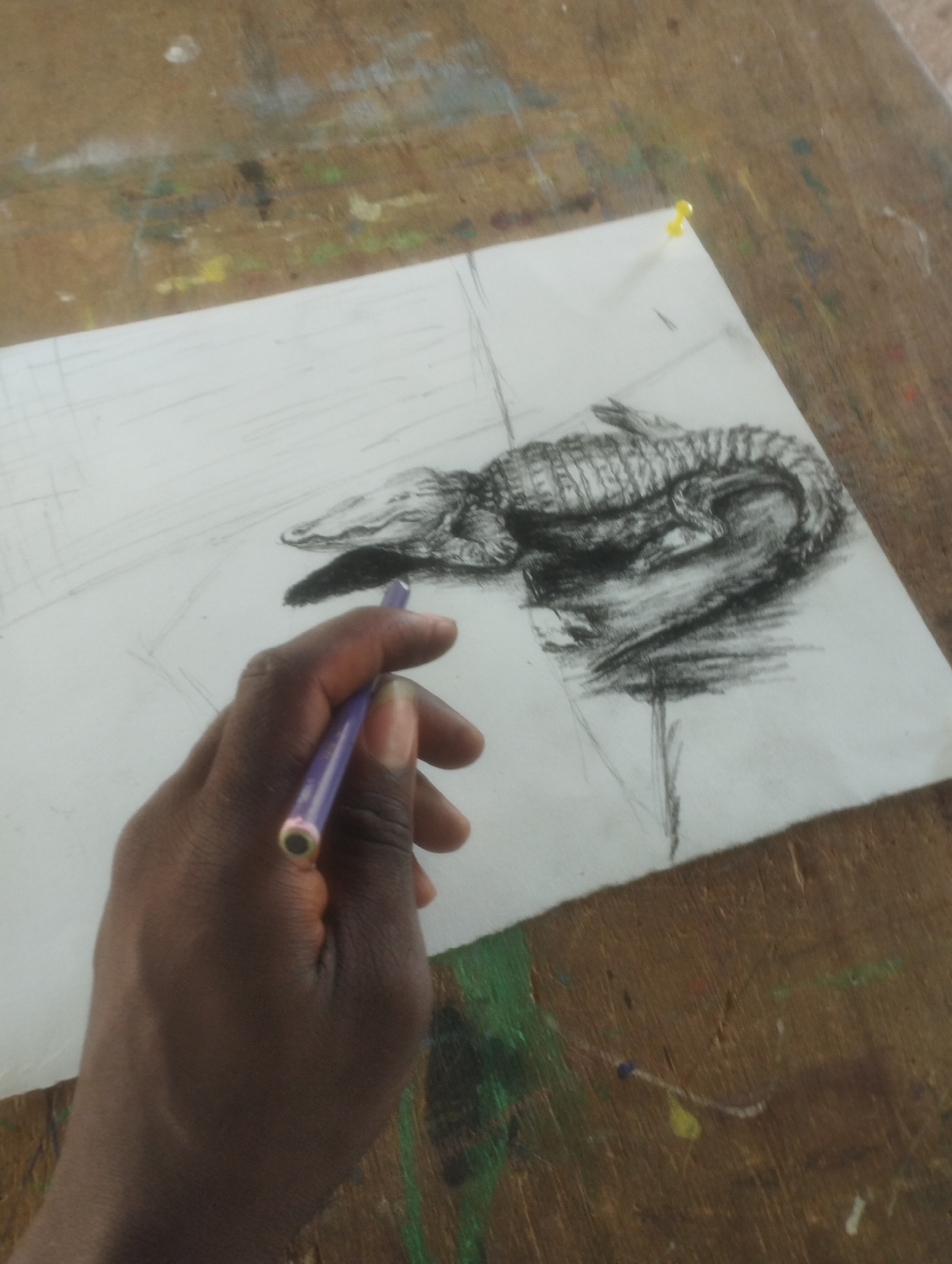 The image shows a close-up, high-angle view of a person's hand holding a purple pencil, actively sketching an alligator on a piece of white paper. The paper is placed on a textured wooden surface, possibly a table, which is marked with paint splatters of various colors, including green, yellow, and white. A yellow pushpin secures the paper to the surface at the top right corner. The alligator sketch, rendered in charcoal or pencil, is detailed with textured scales and a contorted body. The background is out of focus, but it suggests an outdoor or studio environment. The scene is located in Jos, Nigeria.