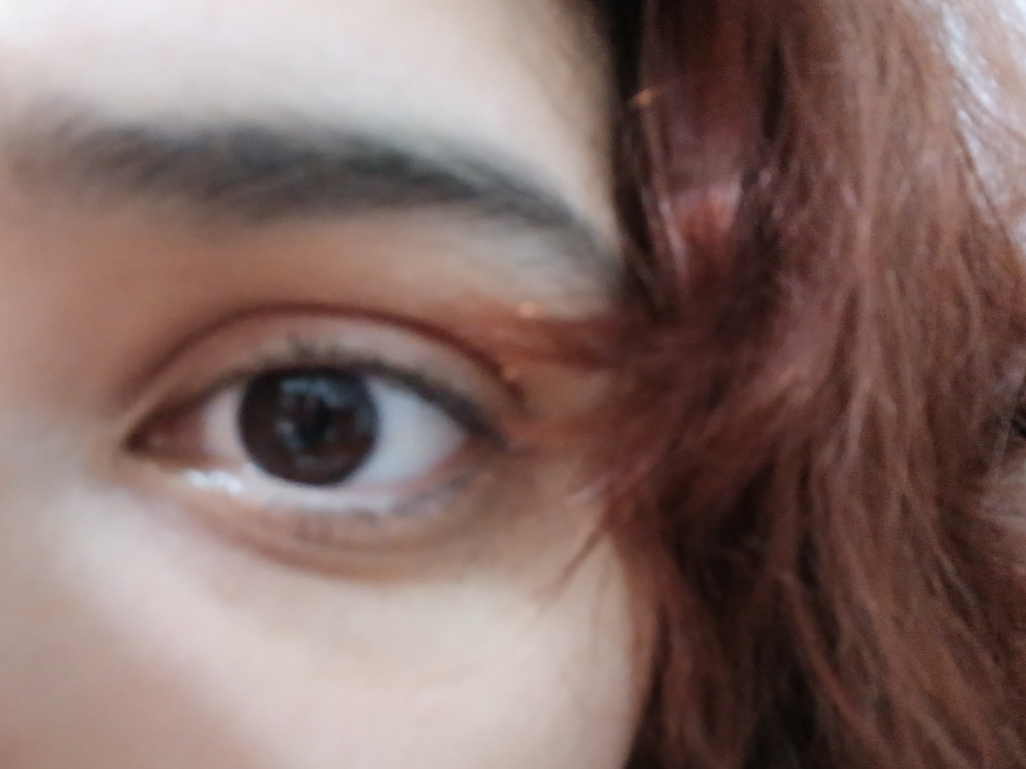 A close-up image shows a person's left eye, eyebrow, and a portion of their face and hair. The eyebrow is dark and slightly bushy. The eye is dark brown, and the surrounding skin appears smooth. Part of their face and reddish-brown hair are visible to the right of the eye. The image provides no information related to Buenos Aires, Argentina.