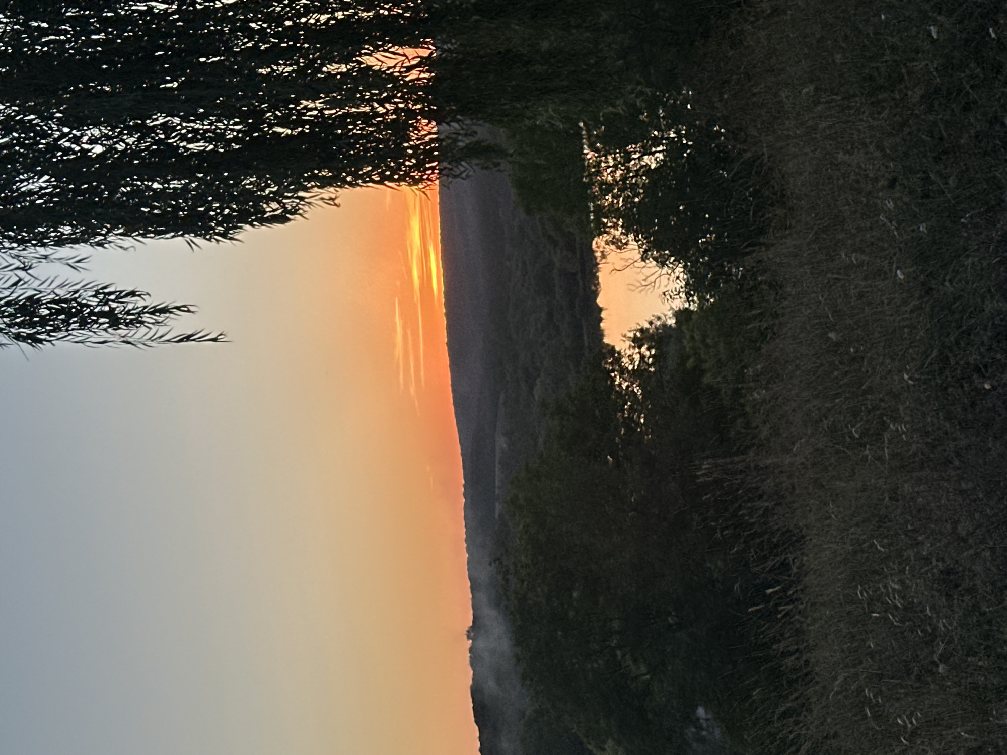 The image captures a sunset over a hilly, forested landscape with a body of water visible in the mid-ground. The sky exhibits a gradient of soft blues and oranges, with the sun's warm glow near the horizon. A dense silhouette of a weeping willow tree dominates the right side of the frame, its branches hanging down. In the foreground, tall, dry grass is visible. In the distance, faint smoke rises from the treeline on the horizon, suggesting a possible small fire or natural phenomenon. The scene appears tranquil and natural, with no people or discernible structures immediately apparent in the natural landscape. The location is identified as Makiv, Ukraine.
