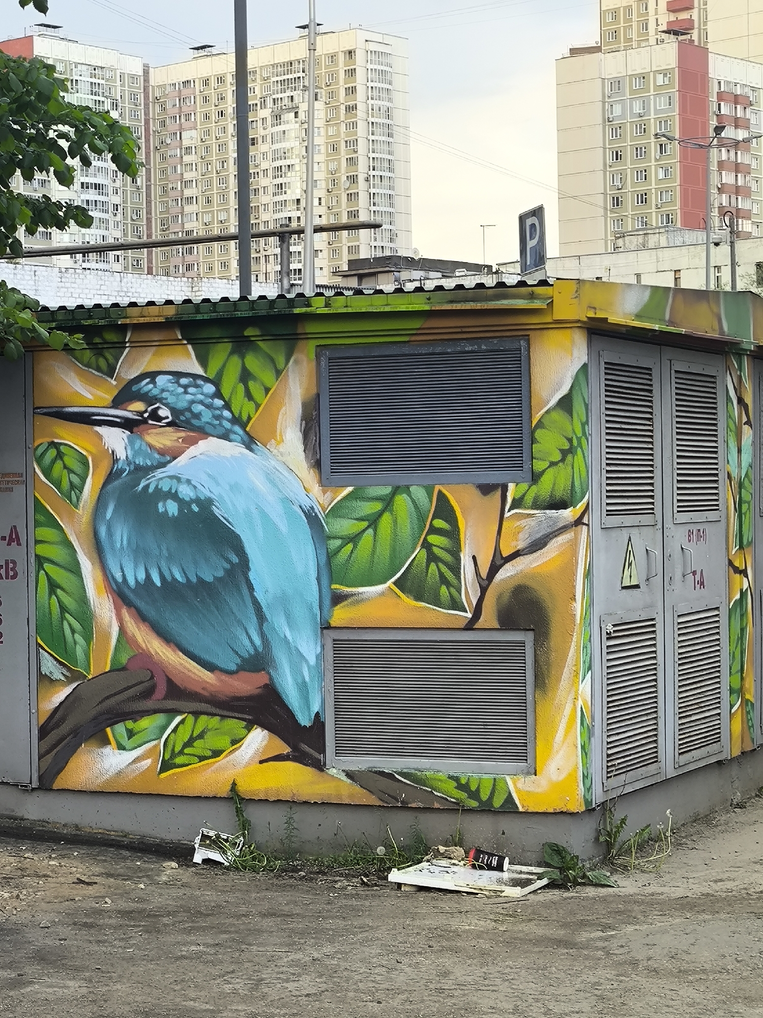 A street-level medium shot depicts an electric substation with graffiti art featuring a kingfisher bird on its exterior. The substation has a corrugated metal roof. The graffiti includes bright yellow and green foliage designs. Ventilation grilles and metal doors with electrical hazard symbols are visible on the substation. In the foreground, trash and vegetation are scattered on the concrete ground. High-rise apartment buildings are visible in the background. A parking sign is near the rooftop. The sky is overcast. The location is in the city of Unknown, Unknown.