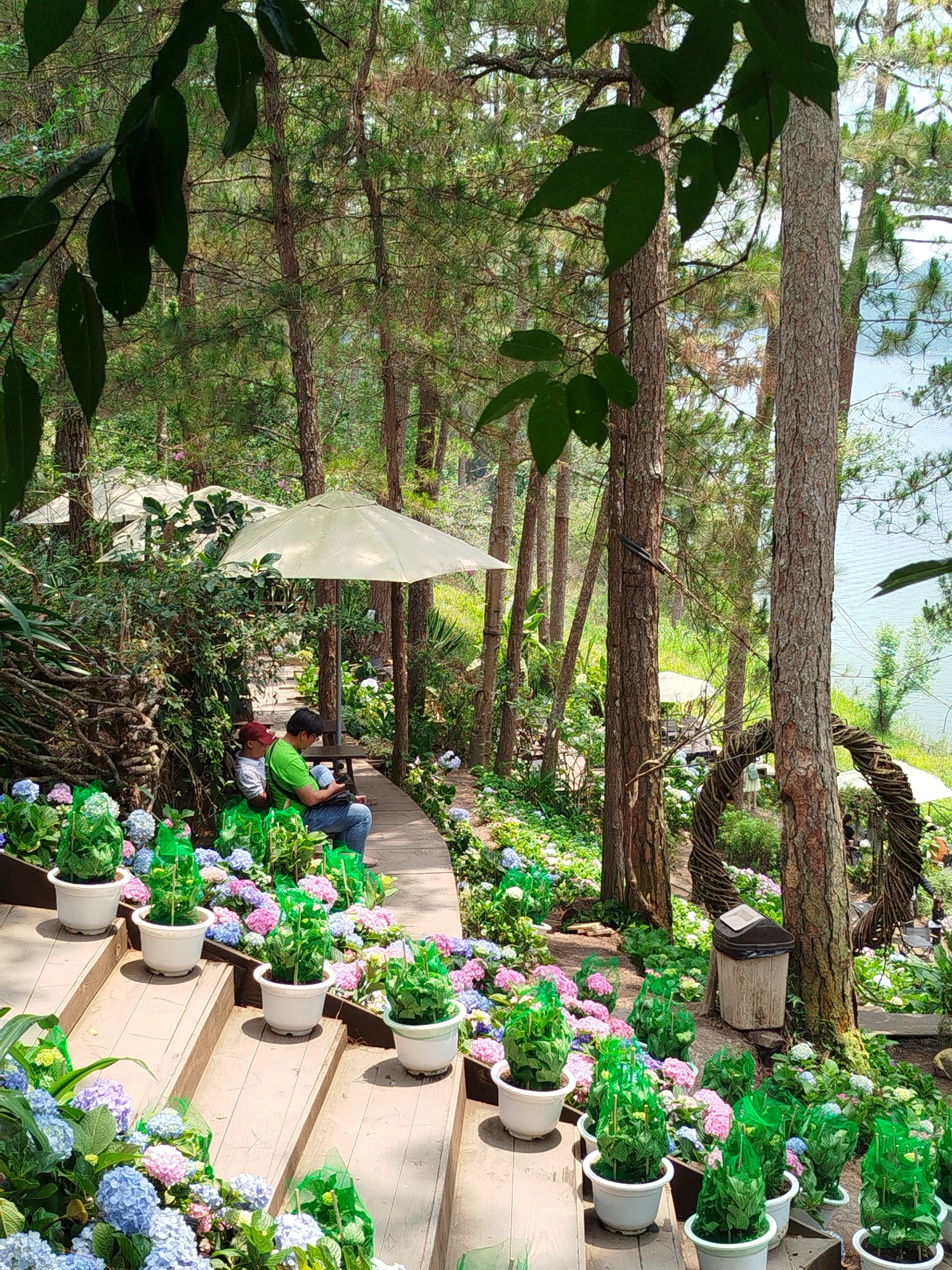 The image depicts a serene outdoor setting in Da Lat, Vietnam. A pathway lined with wooden steps is adorned with potted hydrangeas in shades of blue, pink, and white, along with plants covered in green netting. A man in a green shirt and a child in a red cap sit on a bench beneath a white umbrella, both focused on a mobile phone. The scene is framed by tall trees, with glimpses of a body of water visible in the background. The area is decorated with rustic elements, including a large wreath made of woven rope, and a trash bin. Other white umbrellas and seating arrangements suggest a café or garden setting, possibly near a lake.