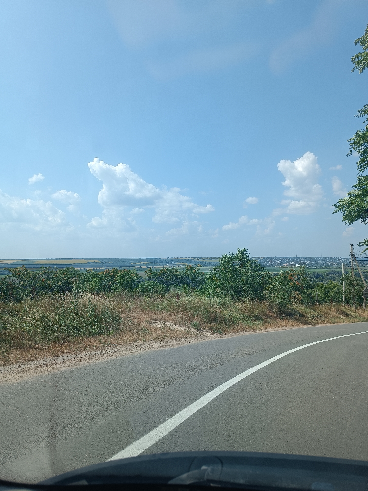 A wide-angle, eye-level, outdoor, daytime, full shot captures a scenic view of a rural landscape from the perspective of a vehicle, likely on a road. The foreground is dominated by a curved asphalt road with a white line marking its edge, disappearing into the distance. The road surface shows some cracks and wear.
The middle ground is characterized by a hillside covered with dry grass, dense green bushes, and scattered trees with reddish berries. A power pole with wires is visible on the right side of the image, slightly behind the vegetation.
Beyond the hillside, a vast panorama unfolds. A broad, flat plain stretches out, featuring agricultural fields of varying shades of green and yellow, interspersed with patches of trees and vegetation. In the far distance, a town or city is visible, with buildings and structures forming a faint outline against the horizon.
The sky is a clear, bright blue, with a few scattered white, puffy clouds. The overall impression is one of a sunny day in a tranquil, rural setting, potentially near Pohrebea, Moldova, given the landscape features. No people or animals are present in the frame.