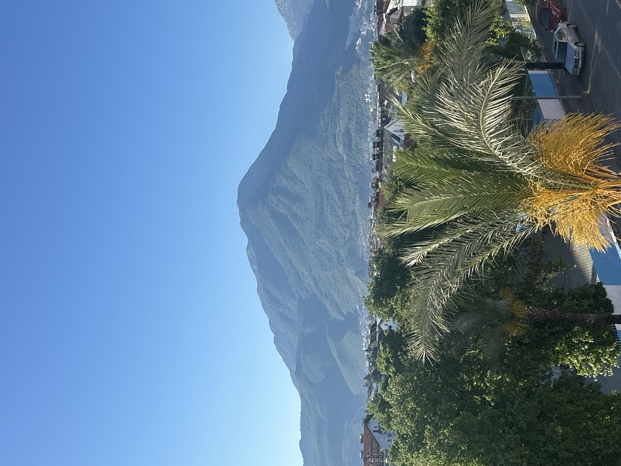 The image captures a scenic view in Fethiye, Turkey. In the foreground, there are several palm trees, one of which has prominent yellow inflorescence. A building with a blue and white facade is visible behind the trees. Adjacent to the building is a street with parked cars, including a silver one with a sunroof. In the mid-ground, houses and other buildings are nestled along the base of a large, green mountain. The background is a clear, blue sky.