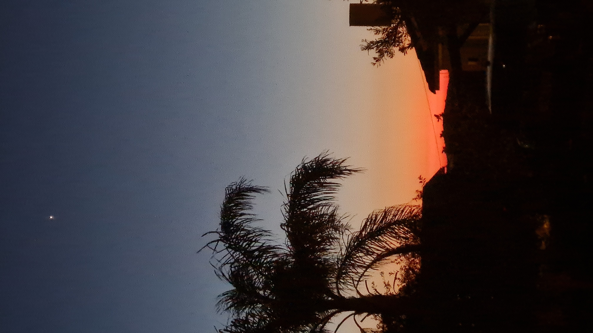 The image depicts a scene, possibly at dusk or dawn, in Lachish Regional Council, Israel. The sky transitions from a dark blue on the left to an orange hue on the right. A silhouetted palm tree dominates the lower part of the frame. In the upper right, the silhouette of a building or structure is visible, with a section reflecting the orange sky. A small, bright dot, potentially a star or planet, is visible in the dark blue part of the sky.
