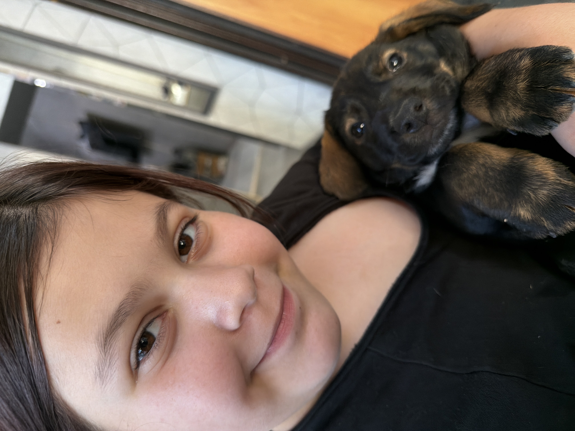 This is a close-up, indoor, eye-level shot of a young person holding a puppy. The person is smiling and looking towards the camera, with their face partially visible on the left side of the frame. Their dark hair is pulled back, and they are wearing a black shirt.
The puppy, a dark-colored mix with brown markings and floppy ears, is being held in the person's arms, facing the camera with its head tilted. Its paws are visible in the foreground. The puppy appears alert and curious, with dark, bright eyes and a wet nose.
The background is blurred but suggests an indoor setting with kitchen-like elements, including what appears to be a tiled backsplash and a stainless steel appliance above it. The lighting is soft and diffused, indicative of an indoor environment. There are no discernible time of day or weather cues. The overall mood is affectionate and happy, captured in a candid moment between the person and their pet. No text is visible in the image.