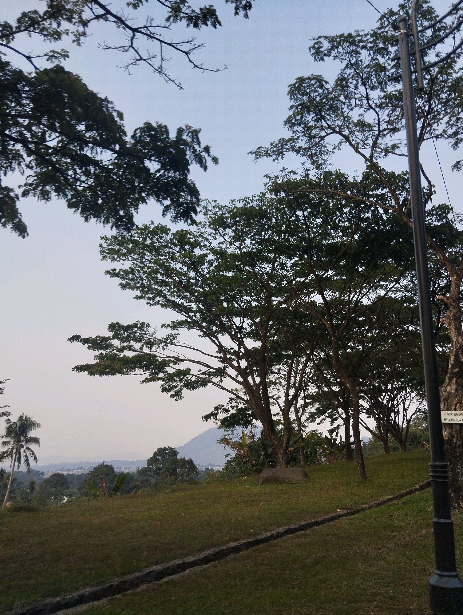 The image depicts a slightly elevated grassy area with a line of trees bordering the horizon. In the foreground, a black lamppost stands to the right, with a dark, narrow trench or ditch running diagonally across the grassy slope. Several large trees with dense foliage dominate the middle ground, their branches reaching towards a pale sky. In the distance, a hazy landscape of rolling hills and vegetation is visible, with a palm tree on the left side of the frame. A small sign is attached to the lamppost, but the text is illegible. The scene appears to be a park or a scenic overlook in Babakan Madang, Indonesia, possibly taken during the late afternoon or early morning due to the soft lighting. There are no people or animals visible in the image.