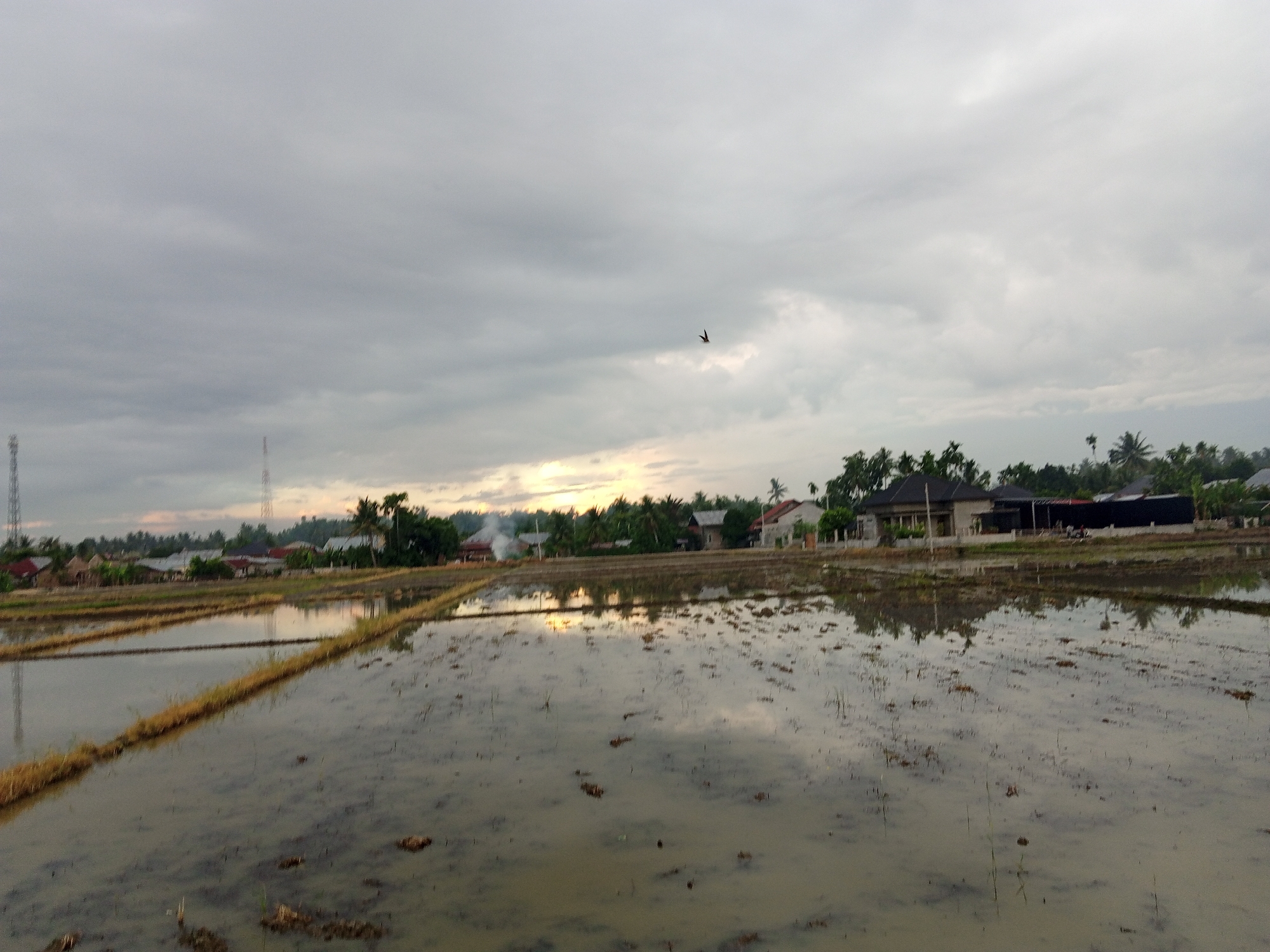The image depicts a flooded rice paddy field in Geulangganggampong, Indonesia, under a cloudy sky. The field is divided into sections with small embankments. Water covers the field, reflecting the sky, distant trees, and structures. Houses and palm trees line the horizon. Two towers are visible in the distance. A single bird is flying in the sky. The foreground shows muddy ground with remnants of harvested rice.