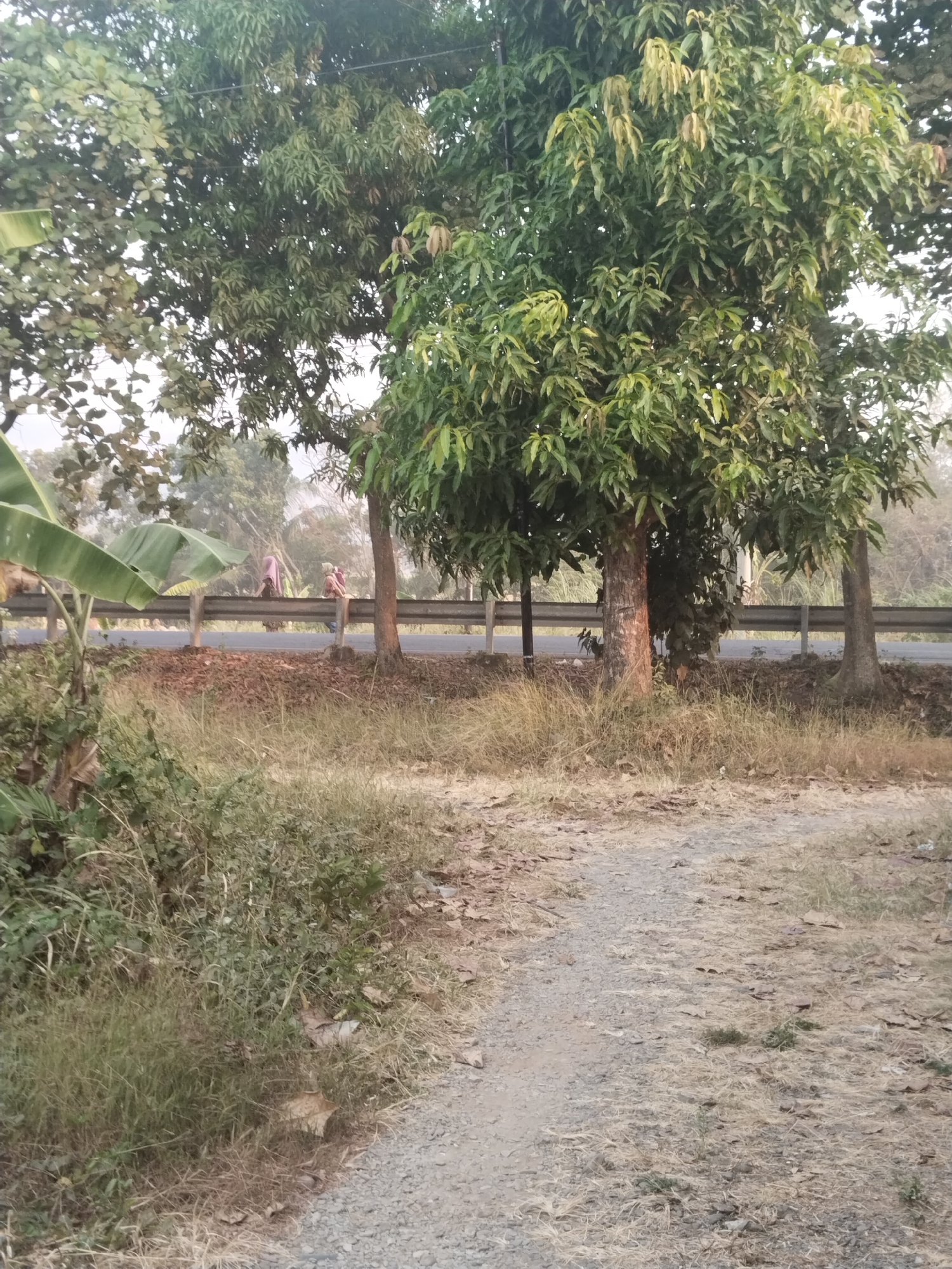 The image depicts a roadside scene in Jembayat, Indonesia, with a gravel path leading towards a road lined with trees and a metal barrier. In the background, two individuals, seemingly women, are walking along the road, one wearing a pink garment and the other a light-colored headscarf. The environment is characterized by dry grass, fallen leaves, and dense foliage from various trees, suggesting a rural or semi-rural setting. The lighting indicates it might be daytime, possibly late afternoon or early morning due to the soft, diffused light.