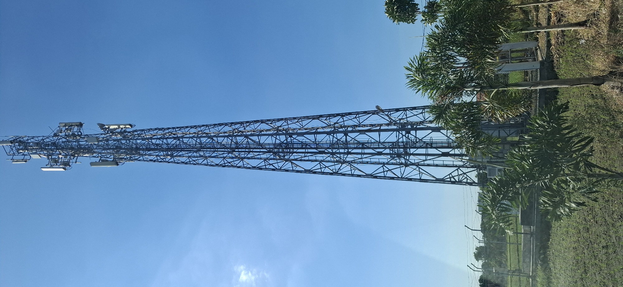 An outdoor, full-body, vertical shot captures a tall, lattice-style telecommunications tower piercing a clear, bright blue sky. The tower, predominantly made of dark metal, is equipped with multiple antennas and communication equipment. In the foreground, several palm trees with green fronds and slender trunks are visible. A chain-link fence topped with barbed wire runs horizontally across the lower portion of the image, demarcating a boundary. Beyond the fence, a field of green vegetation can be seen. The ground in the immediate foreground is covered with dry grass and some soil. The scene appears to be located in a rural or semi-rural area. The image does not contain any people, specific landmarks, or visible text that would indicate the exact location within Paulan, Indonesia.