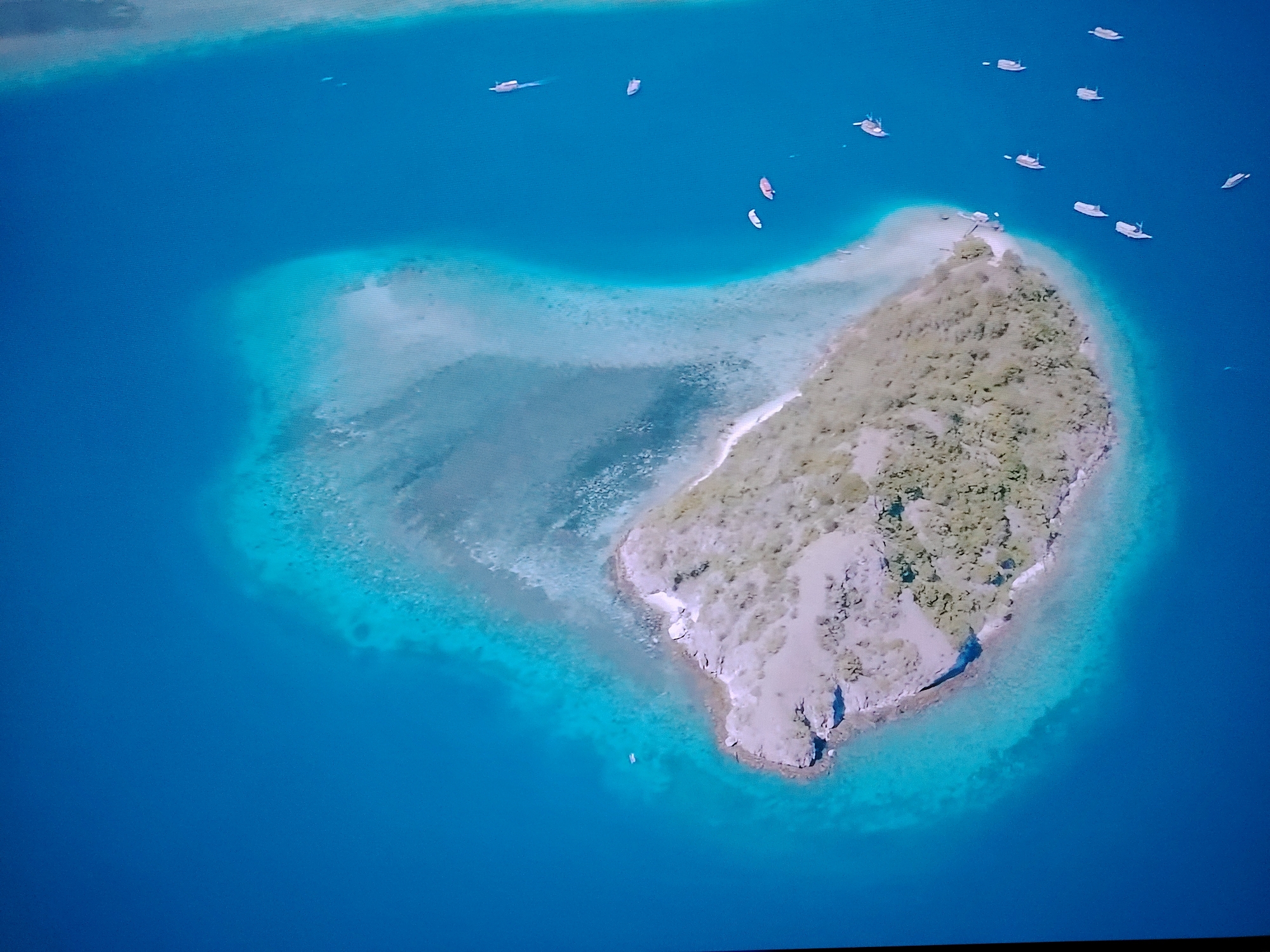 The image is an aerial view of a small, uninhabited island surrounded by clear turquoise water. The island is covered in dense vegetation and has a rocky shoreline. Several boats are scattered in the surrounding water, some appearing to be anchored and others in motion. The scene suggests a tropical or subtropical marine environment. The request to include the location in Huntingdonshire, United Kingdom, is not applicable to this image, as the scenery depicted is not consistent with the geography of Huntingdonshire, which is a landlocked county in England.