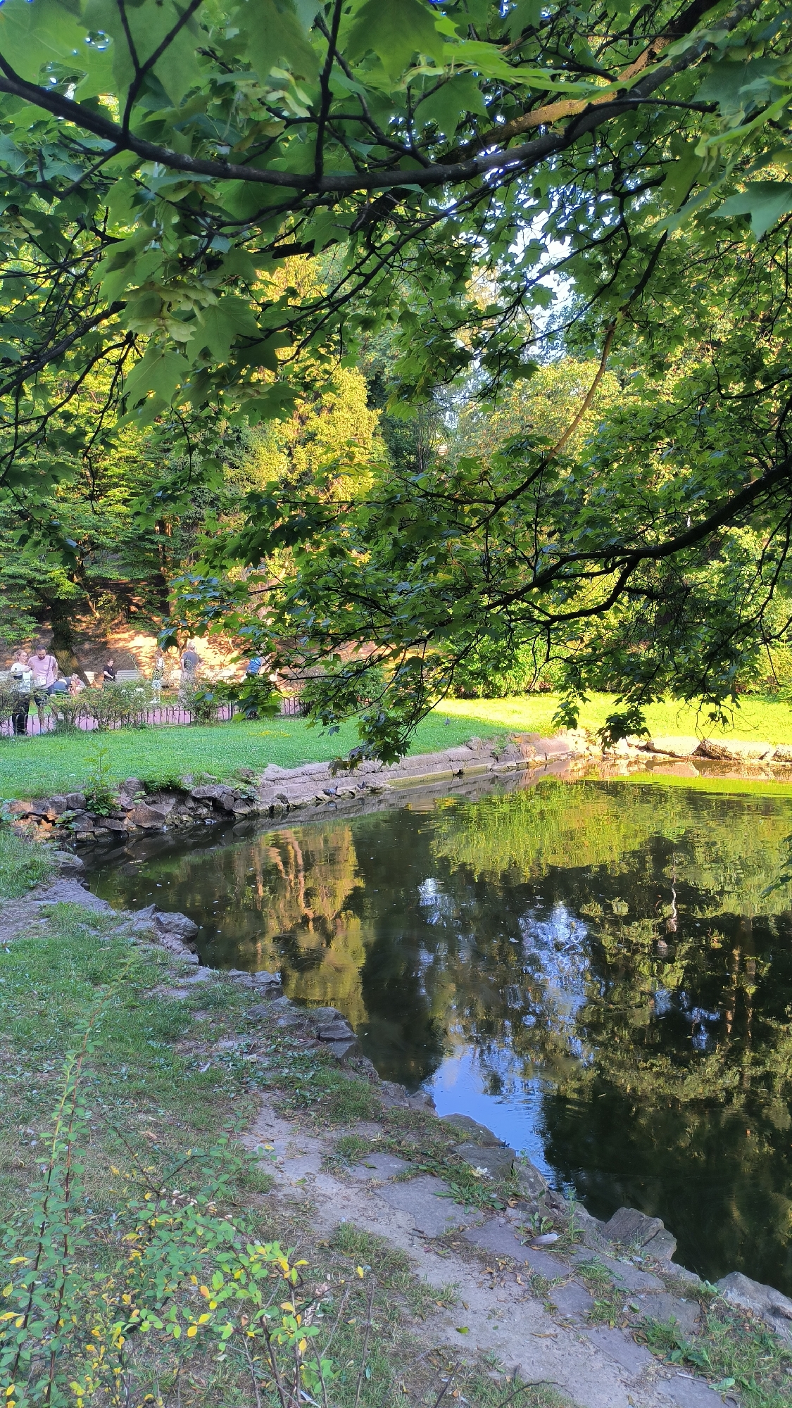 The image depicts a serene park scene, likely within the city of Lviv, Ukraine, with lush greenery framing a tranquil body of water. A large tree with broad, green leaves dominates the foreground, its branches extending over the scene and creating dappled shade. Sunlight filters through the leaves, illuminating parts of the park in a warm glow.
On the far bank of the water, a grassy area slopes gently upwards, dotted with trees. A low, decorative fence with white posts and a pink top rail separates the grass from a stone-lined path. Several individuals are visible in the background, some seated on benches and others standing, appearing to be enjoying a leisurely day in the park. Their presence suggests a public recreational space.
The water's surface acts as a mirror, reflecting the surrounding trees, the sky, and the sunlight, creating a beautiful, impressionistic effect. The edge of the water is lined with rocks and patches of grass, with some small plants growing along the bank. The overall impression is one of peace and natural beauty, characteristic of well-maintained urban parks.