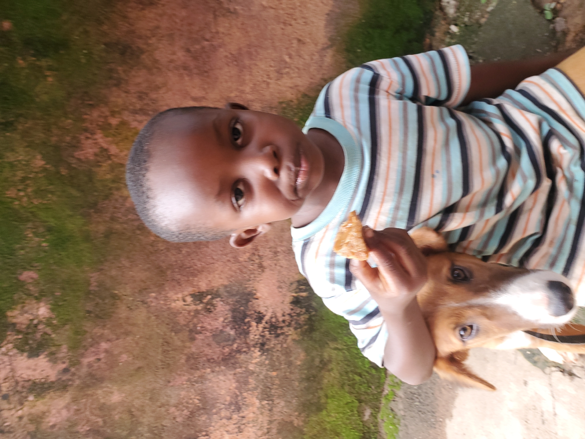 The media file shows a young boy holding a piece of food and interacting with a dog. The boy, with dark skin and short hair, is wearing a striped t-shirt with blue, orange, and black stripes. He is looking towards the camera with a neutral expression. A light brown dog with white markings on its face is nestled beside him, looking up towards the boy. The dog has dark eyes and floppy ears. The boy's hand is visible, holding the food, which appears to be a cracker or a piece of bread.
The background consists of a textured, reddish-brown surface with patches of green moss, suggesting an outdoor setting. There are also hints of grey concrete or stone. The lighting appears to be natural, indicating daytime. The overall scene conveys a sense of companionship and simple interaction between the boy and the dog. There is no visible text in the image. The context provided indicates the location is Jos, Nigeria.