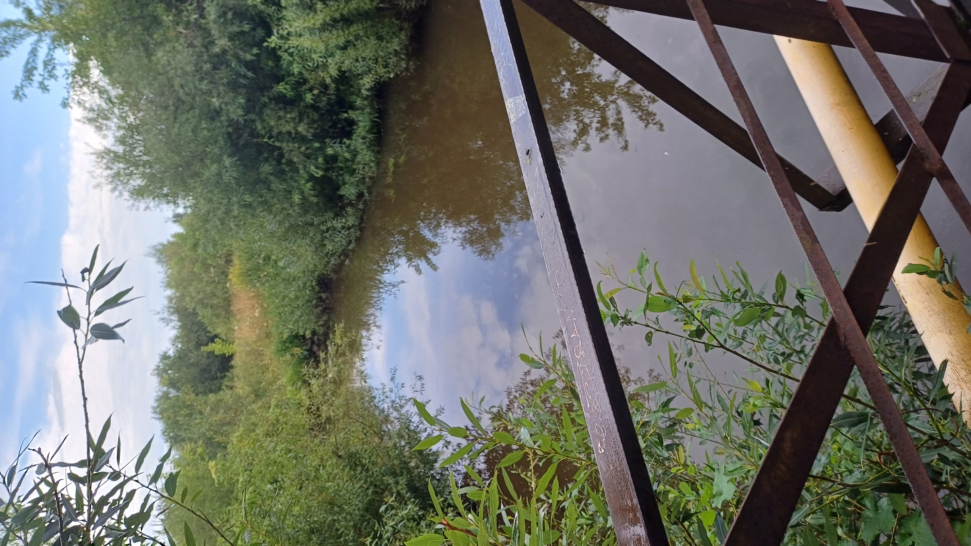 The image shows a view of a small river surrounded by dense green vegetation and trees under a cloudy sky. In the foreground, a rusty metal railing with a yellow pipe running beneath it is visible. The railing and pipe suggest this is a bridge or walkway. The river water is brown and reflects the sky and surrounding foliage. A few branches with green leaves hang into the frame from the left. The overall scene depicts a natural, somewhat overgrown environment, likely in the outskirts of a settlement.
