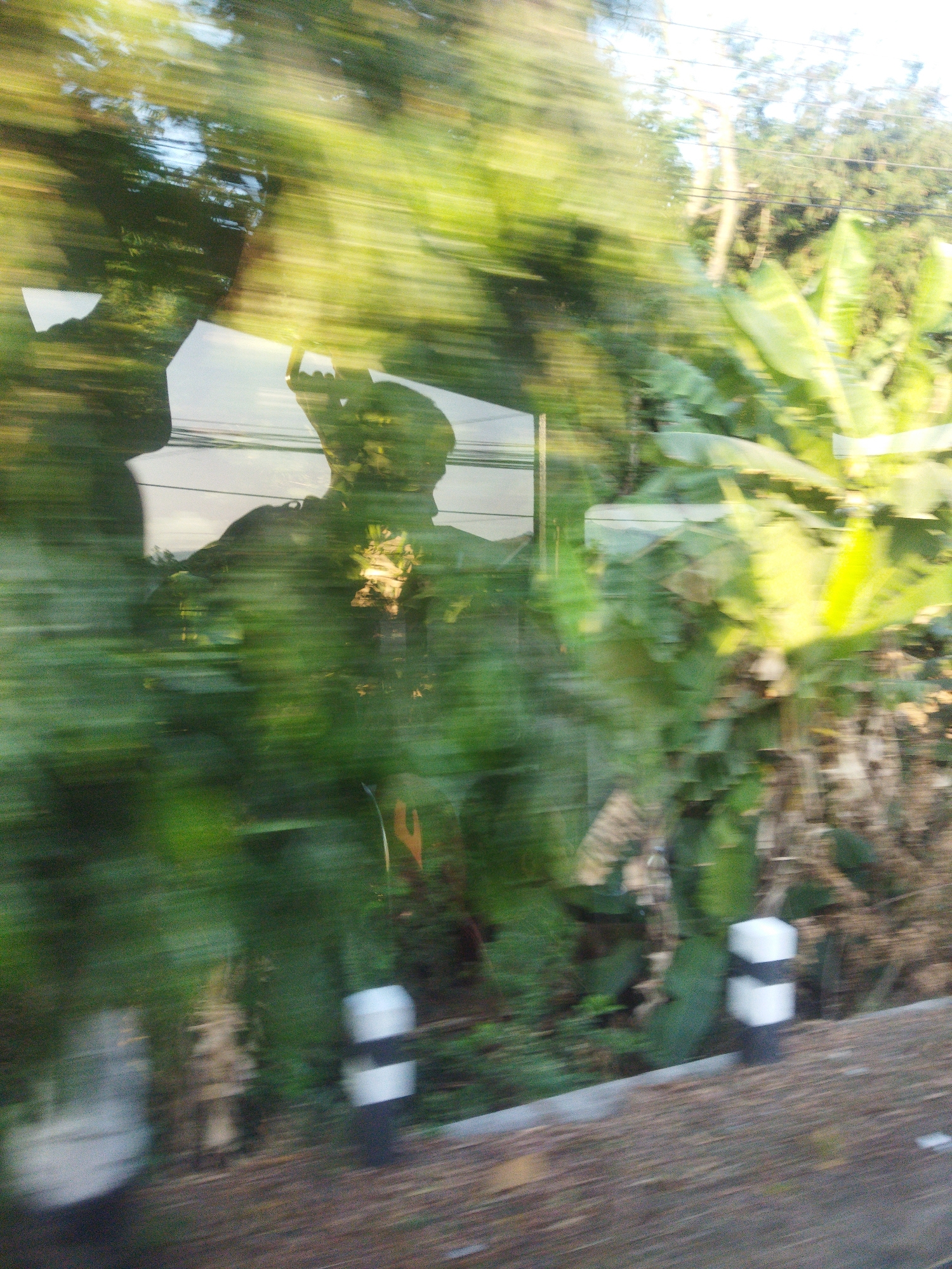 The image, taken from a moving vehicle on a road in Selogiri, Indonesia, captures a blurred scene of lush green foliage and the reflection of a person in a window. The motion blur indicates a high speed of travel. In the foreground, a road surface with scattered debris is visible. Two white posts with black bands, likely road markers, stand alongside the road. The background is dominated by the vibrant green of banana trees and other vegetation, interspersed with thin power lines against a bright sky. A person's silhouette is clearly reflected in the glass of the vehicle, their head and shoulders visible as they face away from the viewer, potentially taking a photograph or holding a phone. The reflection also shows the surrounding environment, including trees and the sky, further suggesting the vehicle is in motion through a rural or semi-rural area.