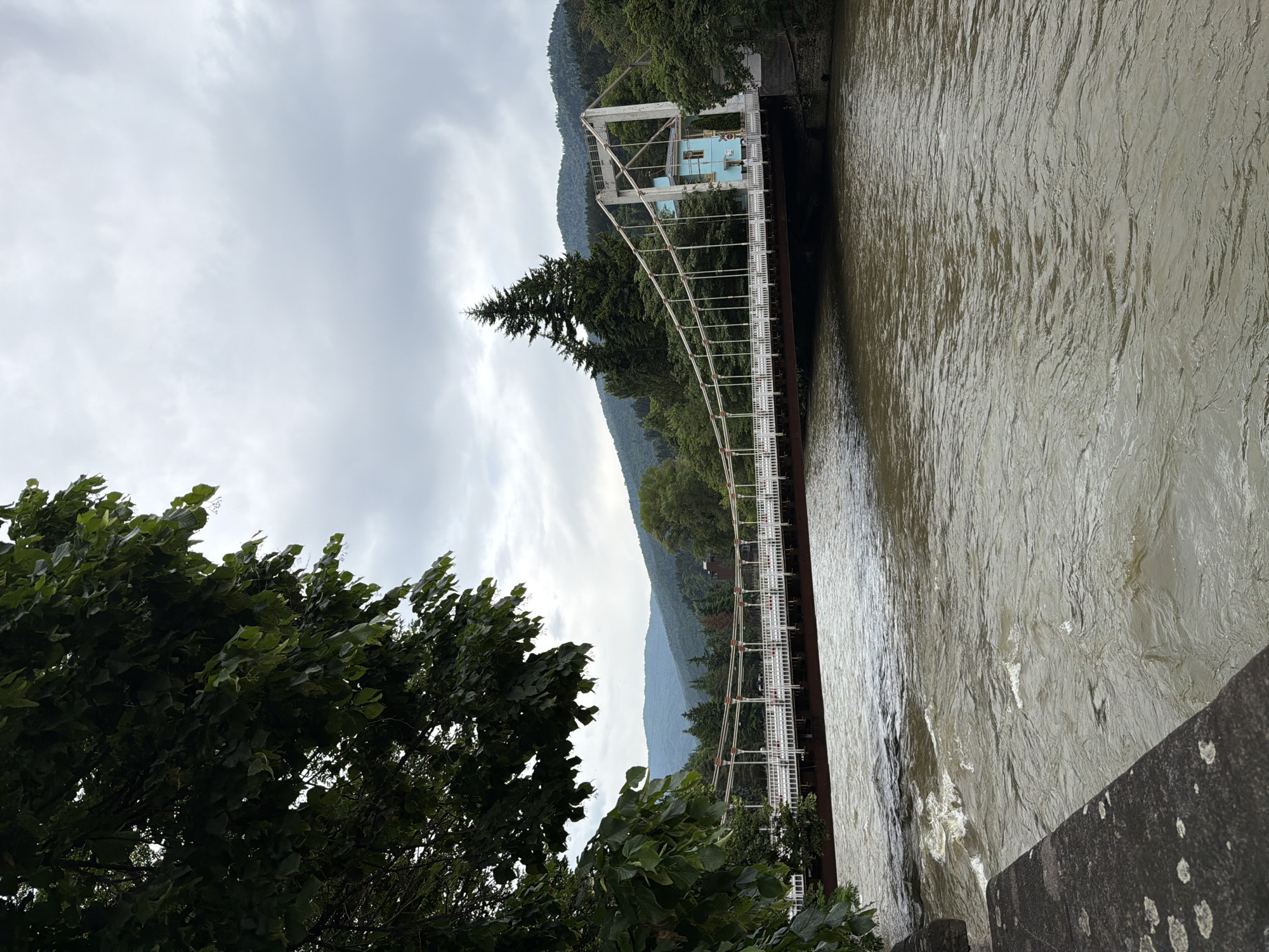 A weathered suspension bridge spans a wide, murky river under a cloudy sky. The bridge, painted white and rust-colored, has a walkway with white railings and is supported by thick cables. At the far end of the bridge, a small, blue structure sits atop a white, geometric support frame, with a tall, dark green evergreen tree growing nearby. The river's surface is choppy, reflecting the overcast sky. Lush green trees frame the foreground and the far bank of the river, with rolling, tree-covered hills in the background. The scene evokes a sense of damp, cool weather, possibly early morning or late afternoon. The image is oriented vertically, with the river flowing from the top to the bottom of the frame. There is no visible text in the image.