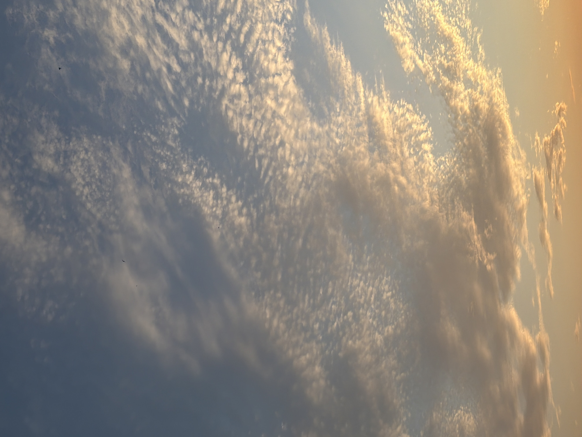 This is a photograph of the sky with scattered clouds. The clouds are illuminated by sunlight, creating a warm, golden glow on some of them, while others are darker and more shadowed, appearing blue or gray. The clouds are arranged in flowing, streaky patterns across the frame. In the upper left portion of the image, two small, dark shapes are visible, which appear to be birds in flight. The overall impression is of a dynamic sky, possibly at either sunrise or sunset given the warm lighting. The image is devoid of any visible text.