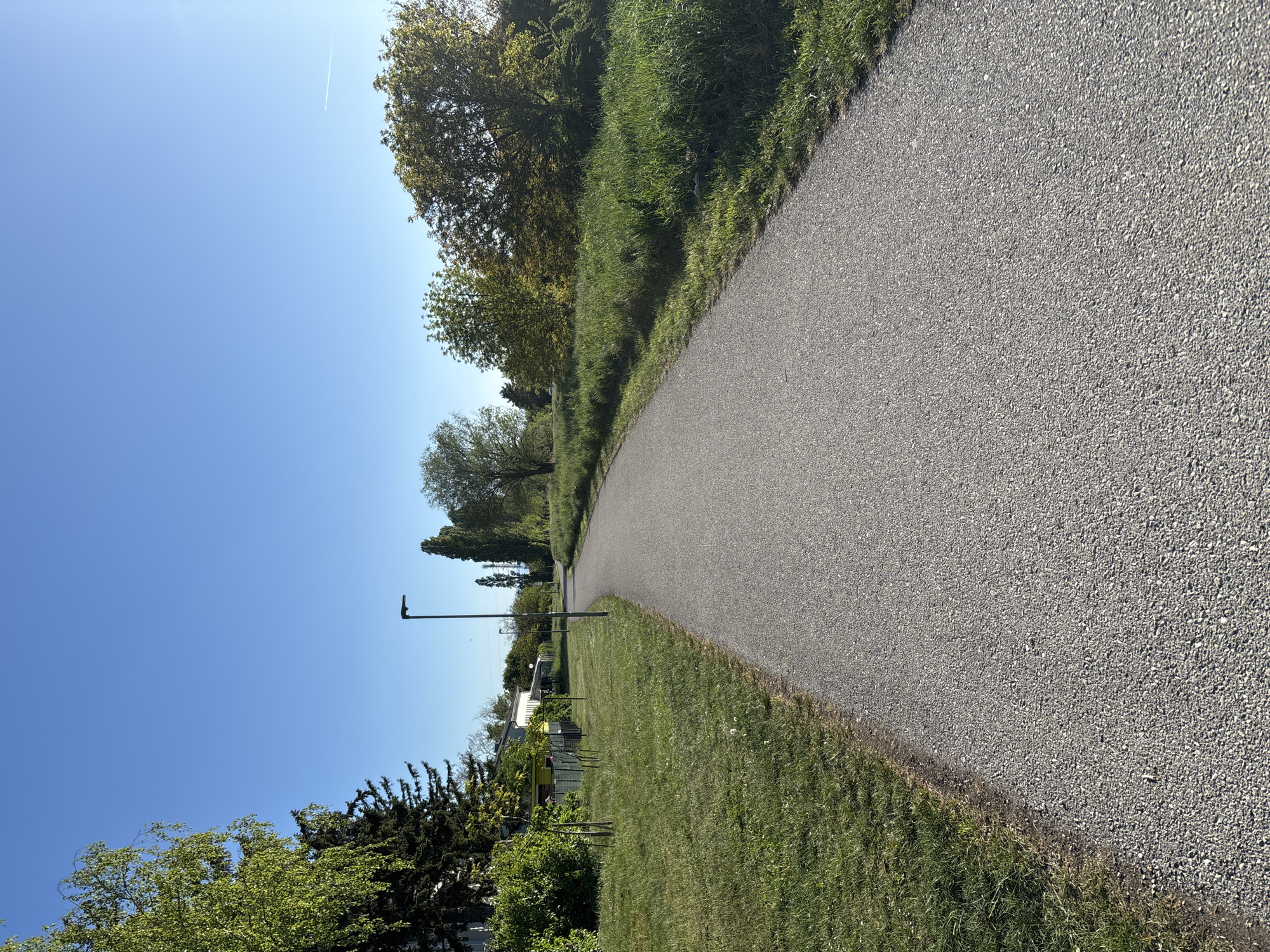 The image shows a paved pathway lined with grass and trees in Wiener Neustadt, Austria. A lamp post stands alongside the path, with residential buildings visible in the background. The sky is clear and blue. The pathway extends into the distance, curving slightly to the left. The scene is bathed in sunlight.