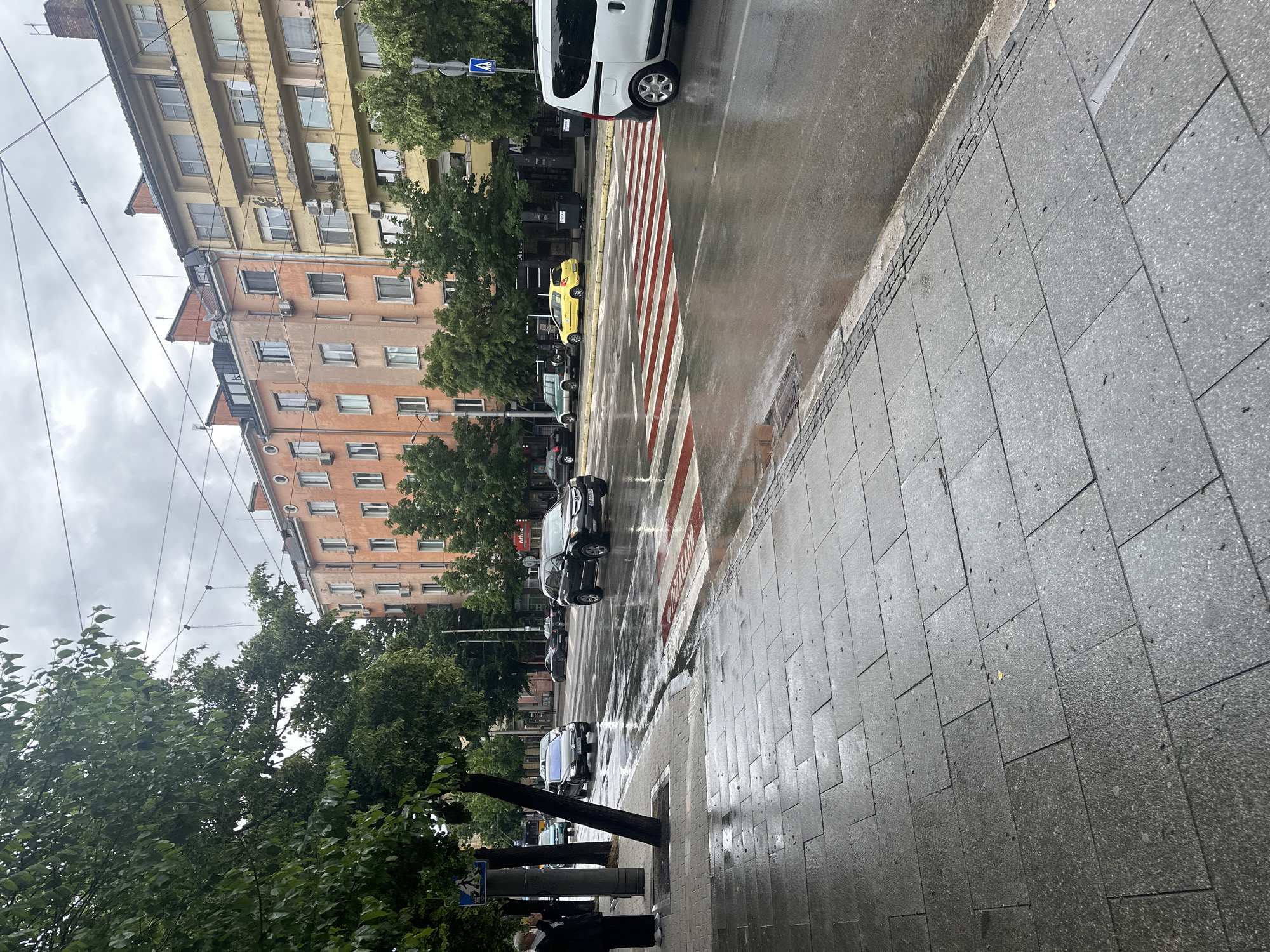 The image captures a rainy or recently rained-upon street scene in Sofia, Bulgaria, under an overcast sky. The wet asphalt road reflects the grey sky and nearby buildings. A prominent red and white striped pedestrian crossing, often seen in Europe, is visible in the middle ground, with small puddles forming on its surface.
Along the left side of the street, several cars are parked, including a black sedan, a dark blue vehicle, a yellow car, and further down, a white van is partially visible. The road is bordered by a sidewalk made of grey paving slabs, also appearing damp. Trees with lush green foliage line the sidewalk, their branches extending towards the street. Overhead, numerous electrical wires crisscross the sky, suggesting the presence of trams or trolleybuses.
On the left, a row of multi-story buildings forms the backdrop. The architecture suggests older, possibly residential, structures with numerous windows and balconies. The buildings display varied faded facades, ranging from an orangey-pink in the foreground to a yellowish-beige further down the street. Air conditioning units are visible attached to the exterior walls of some buildings.
In the lower left corner, a person is standing on the sidewalk, partially obscured by a tree trunk and a pole. They appear to be wearing dark clothing. A blue square sign with a white pedestrian symbol, indicating a pedestrian crossing, is visible by the roadside near the white van. Another small, unreadable sign is on one of the buildings, and further down the street, a red sign with "ОРИ" is visible on a shopfront. The overall atmosphere is quiet and subdued due to the weather.