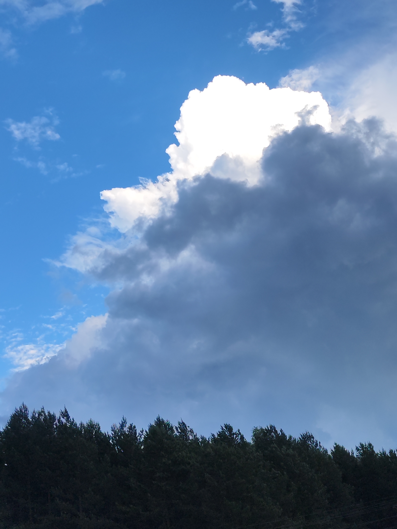 The image depicts a landscape scene from Chaikovsky, Russia, with a dark silhouette of a forest line across the bottom. Above the trees, the sky is filled with dramatic clouds. A large, bright white cumulus cloud is illuminated from behind by sunlight, contrasting sharply with the darker, more ominous storm clouds gathering to its right and lower down. Patches of lighter blue sky are visible through thinner clouds in the upper left portion of the image. The overall impression is one of dynamic weather, with the potential for rain or a storm approaching.