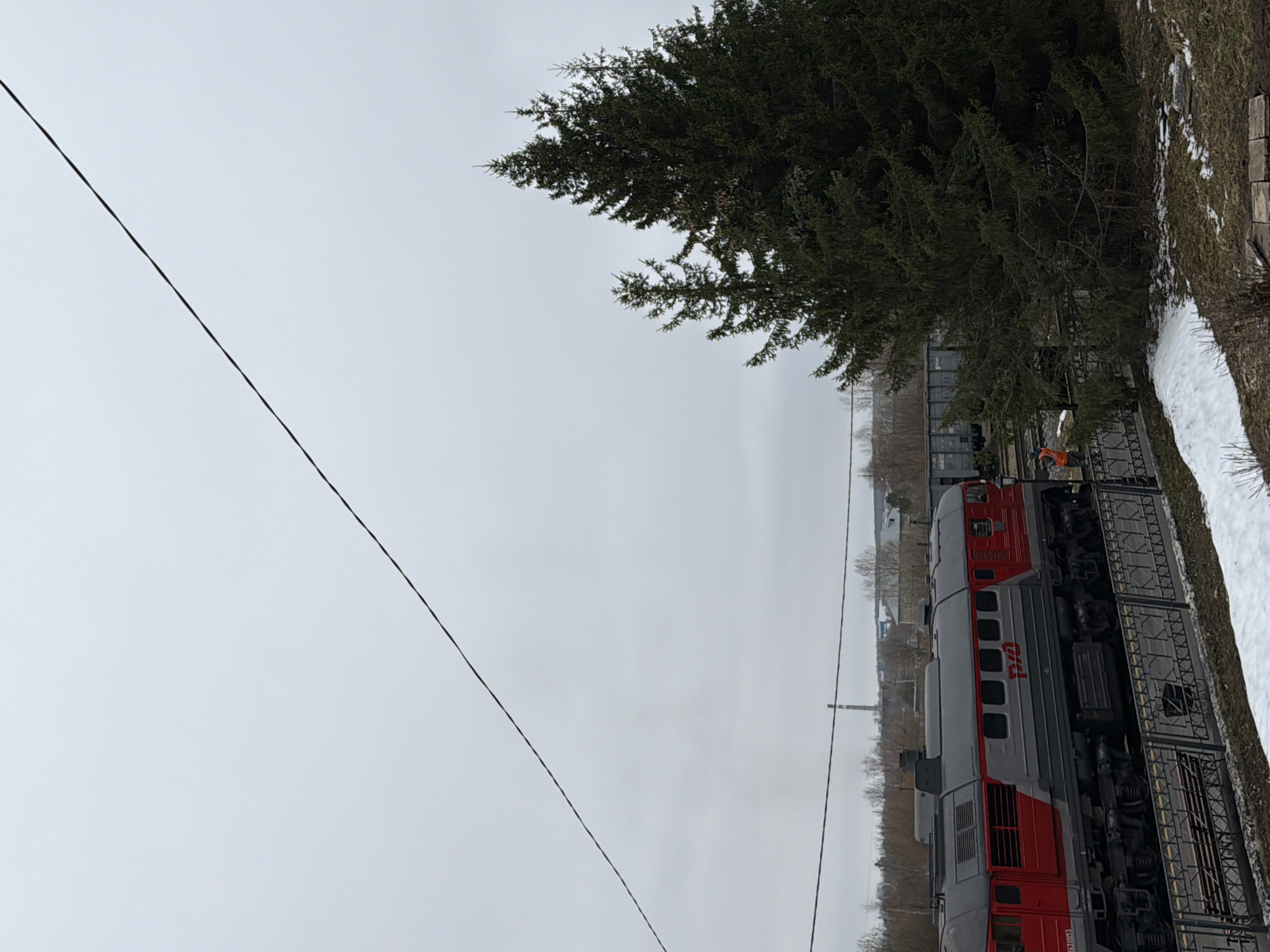 The image depicts a gray and red train in Votkinsk, Russia. A coniferous tree is positioned to the right of the train. A partially snow-covered grassy area is visible near the tracks. An individual wearing an orange vest stands near the train. Electrical wires are strung across the overcast sky.