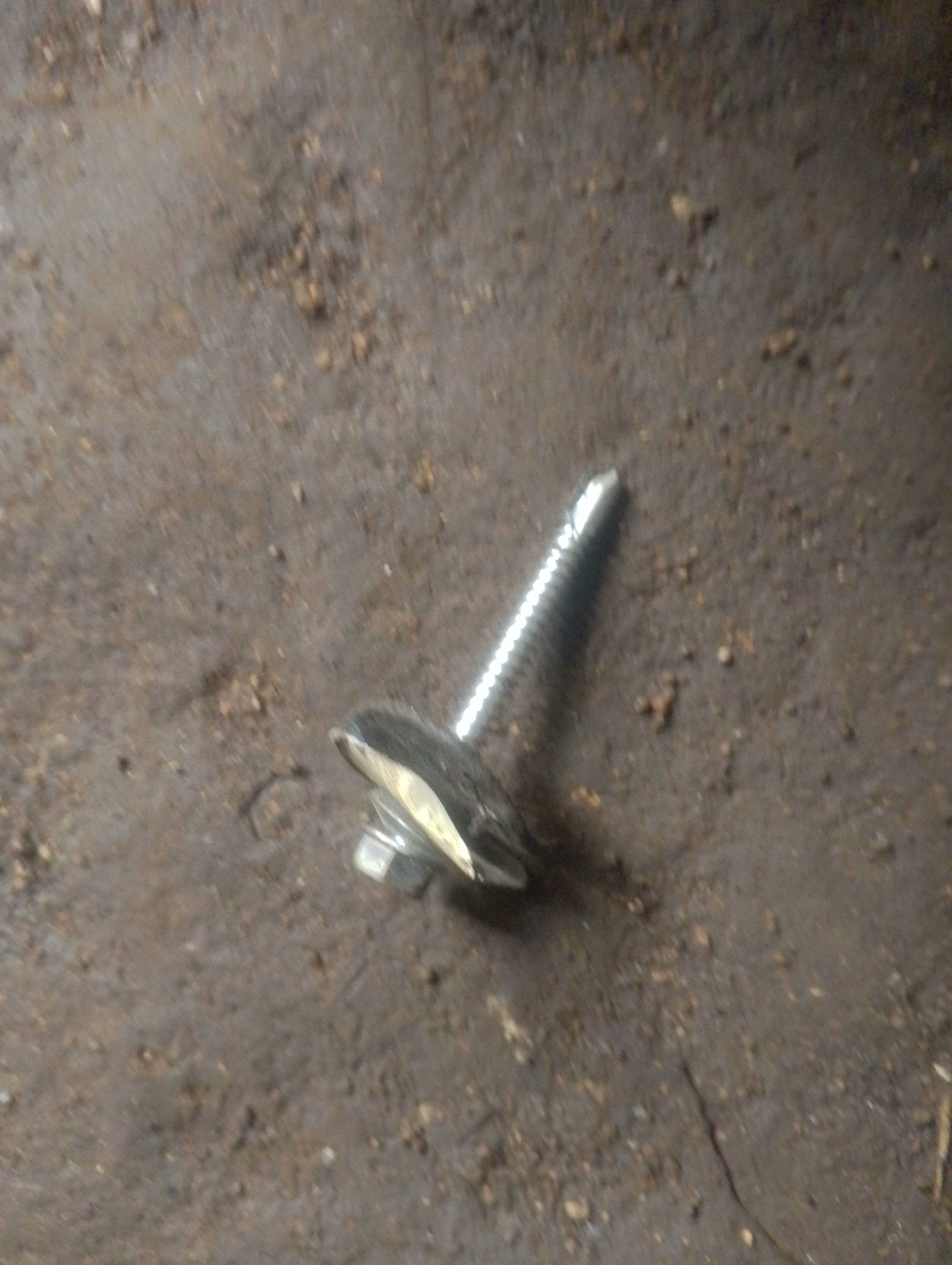 The image shows a close-up, slightly blurry view of a single metal screw with a wide, flanged head lying on a dark, rough, textured surface that appears to be dirt or concrete. The screw is positioned diagonally, with its threaded shaft extending upwards and to the left, and its head towards the bottom right. The head of the screw has a distinctive shape, possibly designed to distribute pressure over a larger area. The surface it rests on is uneven and appears to have small debris or granules scattered across it. The lighting is dim, casting soft shadows and highlighting the metallic sheen of the screw. The environment suggests an outdoor or workshop setting, possibly on the ground. The image is devoid of any context relating to the city of Jos, Nigeria.