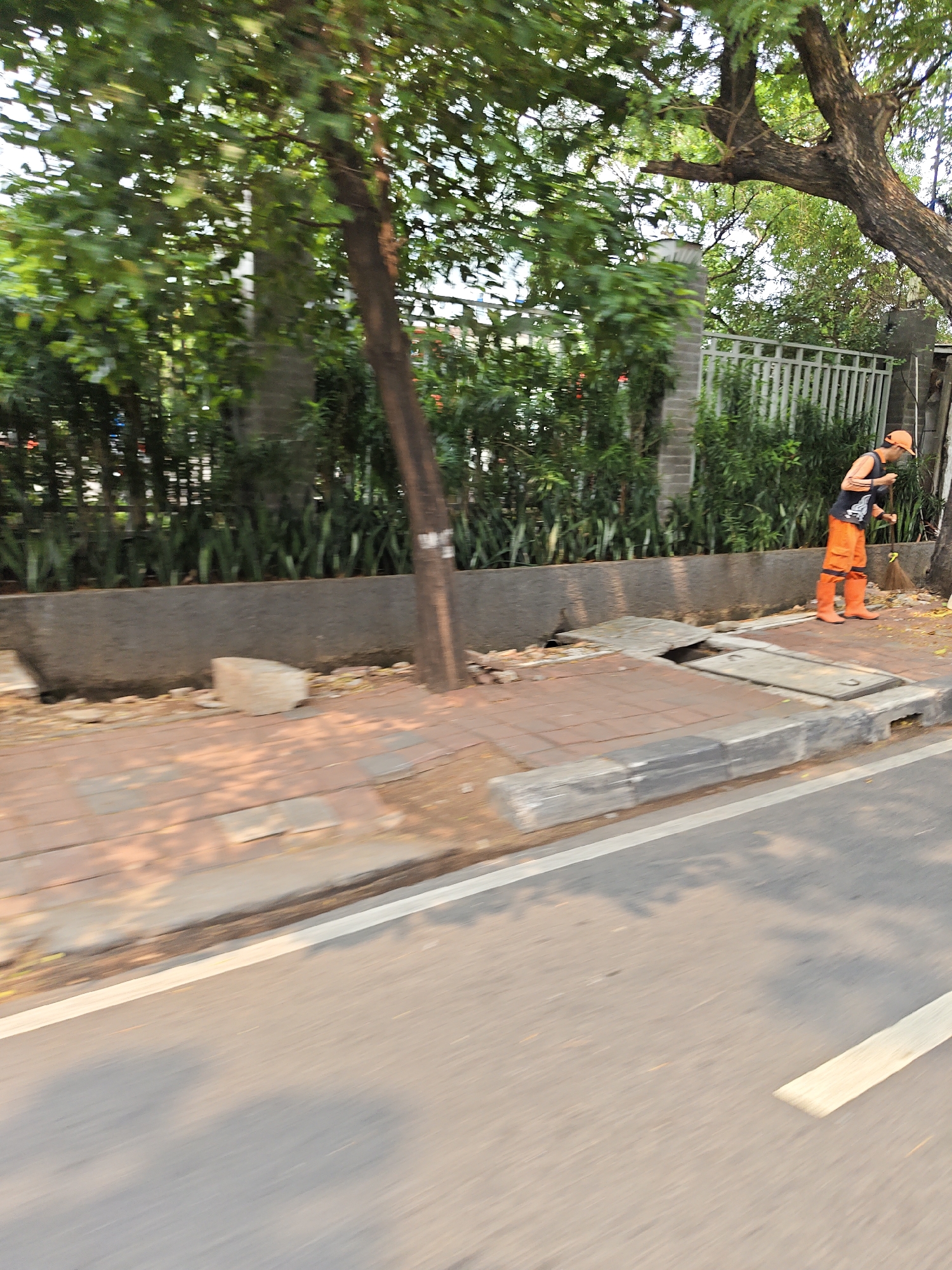 A street sweeper wearing an orange hat and orange pants is sweeping the sidewalk in West Jakarta, Indonesia. The sweeper is using a broom and appears to be working near a tree and a metal fence. The sidewalk is made of brick and concrete. The street is visible in the foreground, with a white line marking the edge of the lane. The scene is captured in daylight, and the lighting suggests it is daytime. There are green trees and bushes in the background, and a concrete wall separates the sidewalk from the vegetation.