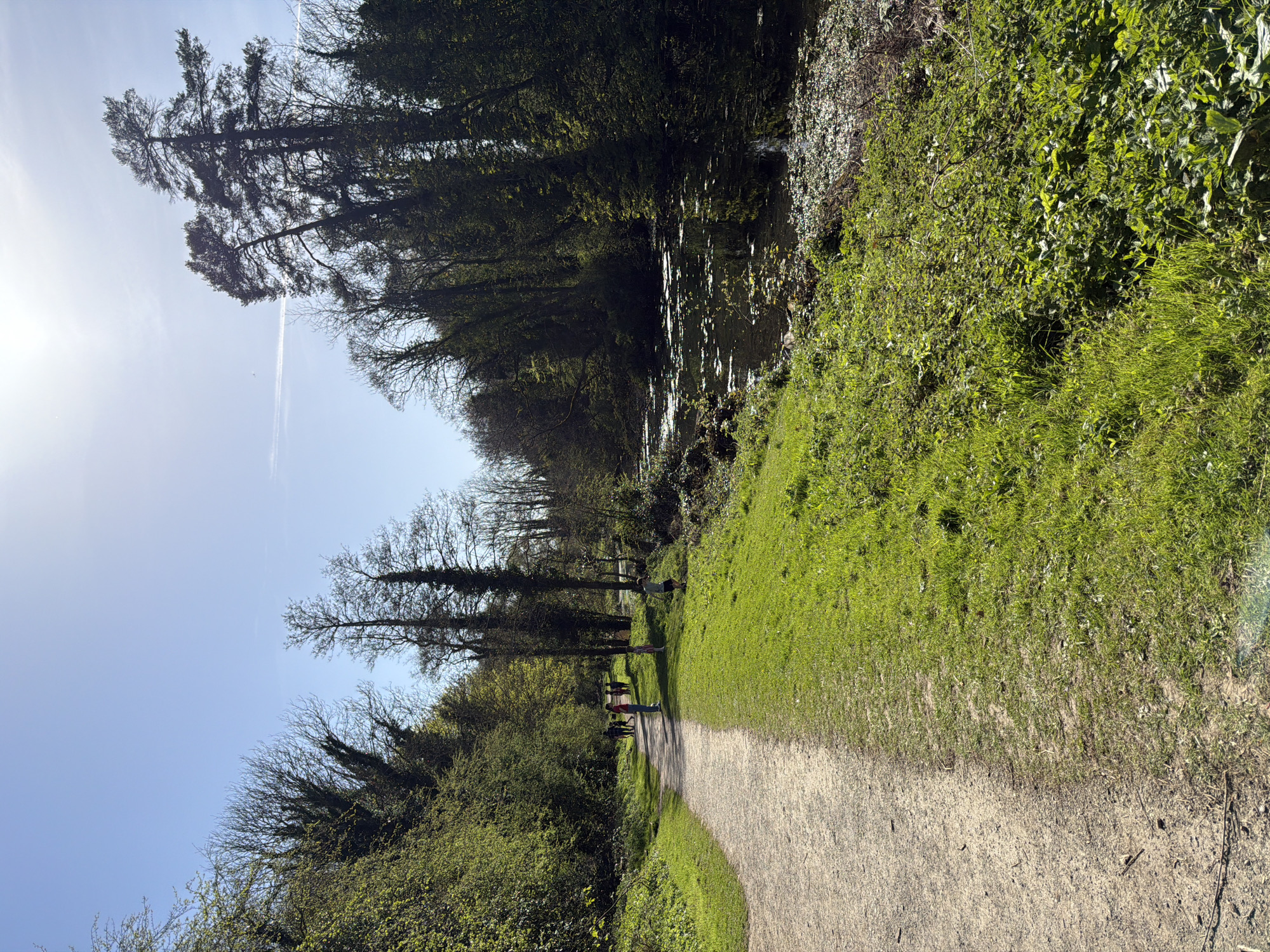 The image depicts a gravel path winding through a wooded area in Tonbridge and Malling, United Kingdom. To the left, dense green shrubbery lines the path, transitioning into taller trees with bare branches further along. A group of people, appearing to be a family, are walking on the path in the distance. To the right of the path is a grassy verge leading to a body of water, possibly a canal or river, with trees reflected in its surface. Sunlight is visible through the trees. The sky is clear and blue.