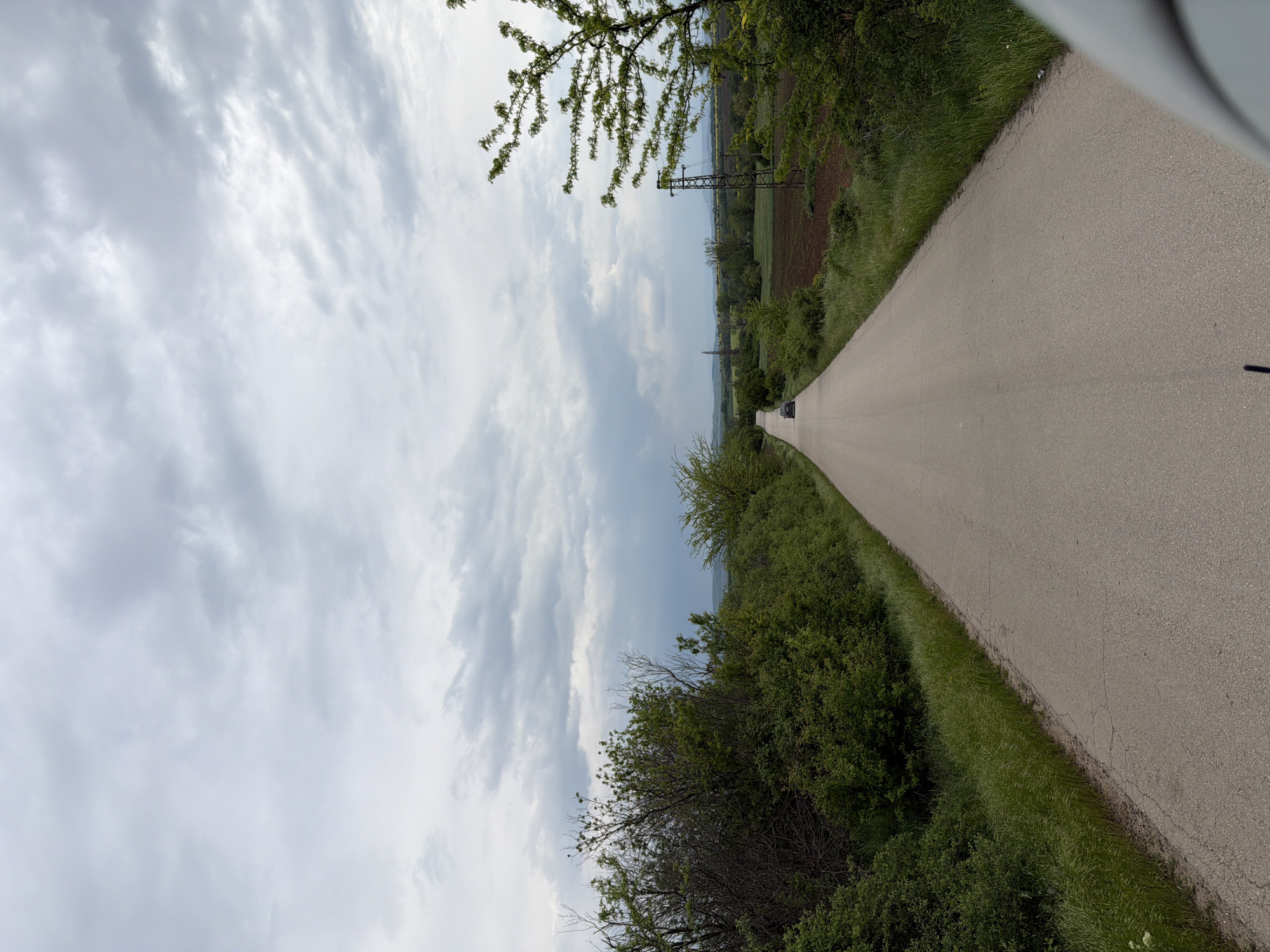 A slightly elevated, asymmetrical, oblique photograph captures a landscape scene under a cloudy sky. The foreground comprises a grey paved road stretching into the distance, flanked by green vegetation on either side. On the right, the vegetation transitions into grassy verges directly adjacent to the road, and further on, cultivated land. A small black car is visible on the road in the distance. Overhead power lines and pylons are observable against the backdrop of rolling hills. The left side is dominated by lush foliage and a cloudy, overcast sky. The location is presumed to be in Goran, Bulgaria.