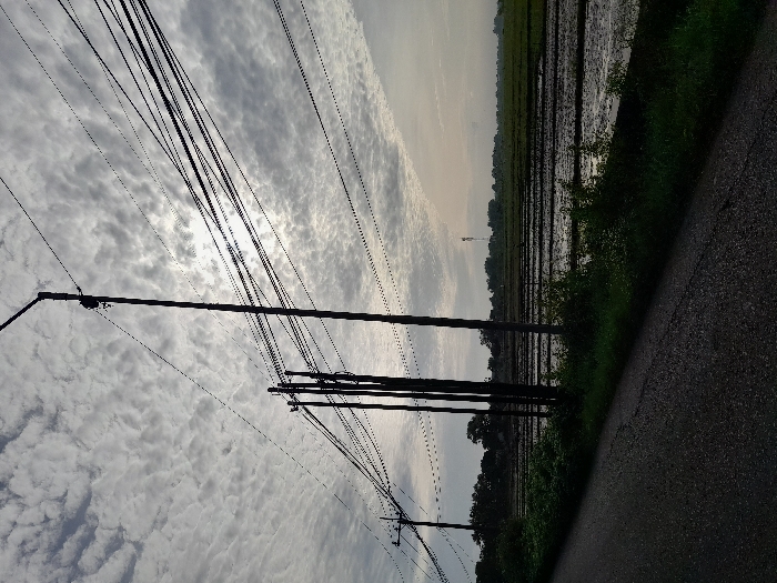 A rural landscape exhibits a road alongside a flooded rice paddy. A series of dark wooden utility poles adorned with a dense network of electrical wires stretches across the frame. The sky is overcast with patterned, white and gray clouds, partially obscuring the sun. The overall scene exudes a quiet, agricultural atmosphere.