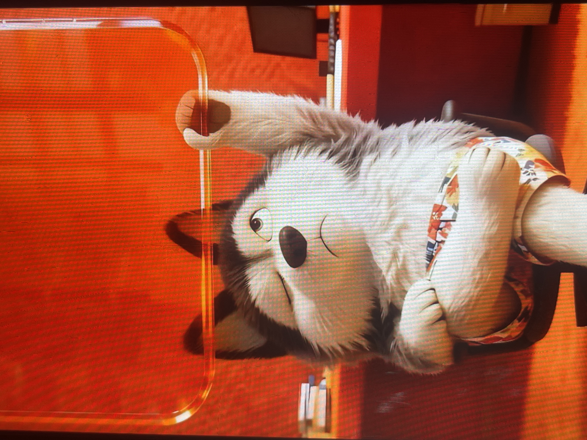 A cartoon husky dog is sitting in a chair, with its left arm raised and holding onto a curved, clear bar above its head. The dog is winking with its left eye and has a slightly downturned mouth, suggesting a bored or unimpressed expression. It is wearing floral-patterned shorts. In the background, there is a red wall with a textured pattern, a desk with a computer monitor and some books, and a filing cabinet. The overall setting appears to be an office or indoor space. There is no information in the image or its crops that indicates a location in Bishkek City, Kyrgyzstan.