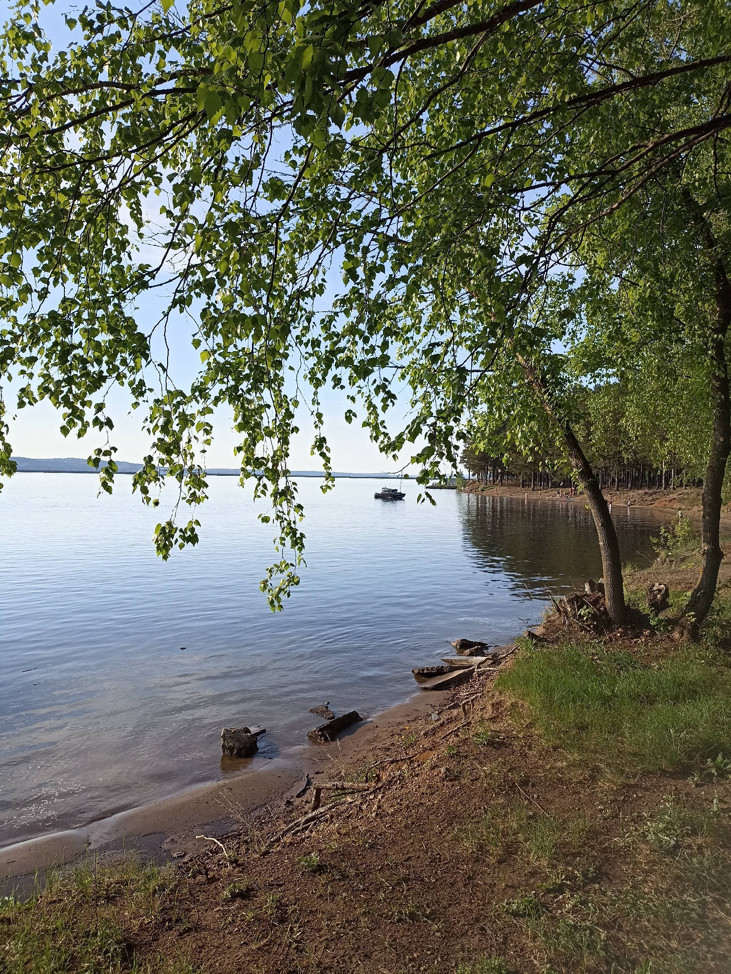 The scene is a lakeside view in an unknown location. The foreground consists of a sandy and muddy shoreline with sparse grass. The water extends to the horizon, where a distant shore is visible. A few rocks are visible near the water's edge. In the middle ground, a boat is on the water. Trees line the shore to the right. Overhanging tree branches with green leaves frame the top of the image. The sky is blue.