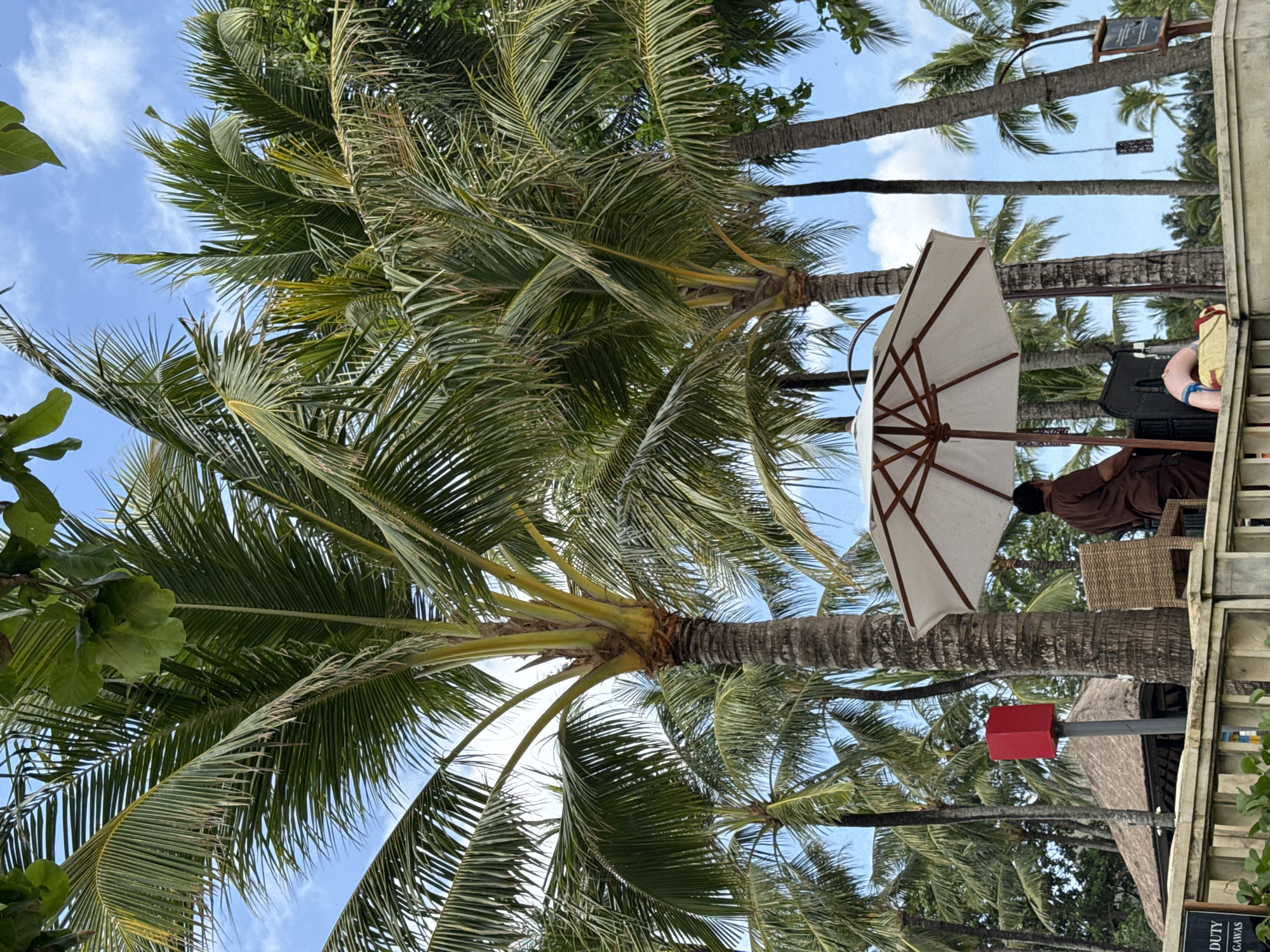 The image shows a scene in Kuta Selatan, Indonesia, with palm trees dominating the view under a blue sky. A white parasol is visible amidst the trees, providing shade to a person seated in a wicker chair. A building with a thatched roof is partially seen. A red object sits atop a pole. The image also captures details of vegetation, creating a tropical ambiance.
