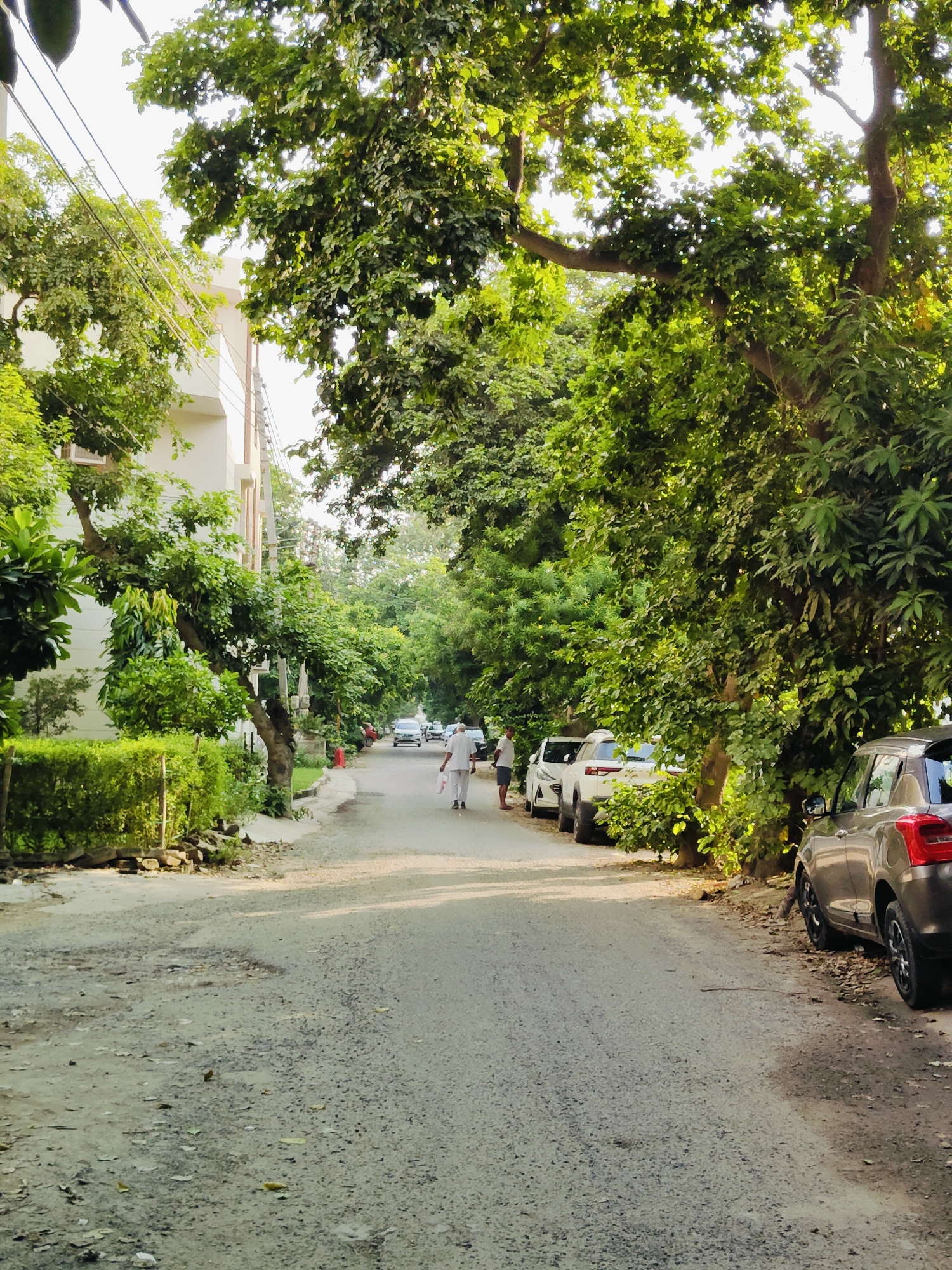 The image depicts a tree-lined street in Gurgaon, India. The road is paved with asphalt and shows signs of wear, with visible potholes and loose gravel. On the left side of the street, a white multi-story building with windows and air conditioning units is partially visible behind lush green trees and hedges. On the right side, several cars are parked along the curb, including a dark gray hatchback. Two men are walking away from the camera down the street. One man is wearing white clothing and appears to be carrying something. The street is shaded by the dense foliage of mature trees, suggesting a well-established residential area. The lighting indicates it is daytime, with sunlight filtering through the leaves.