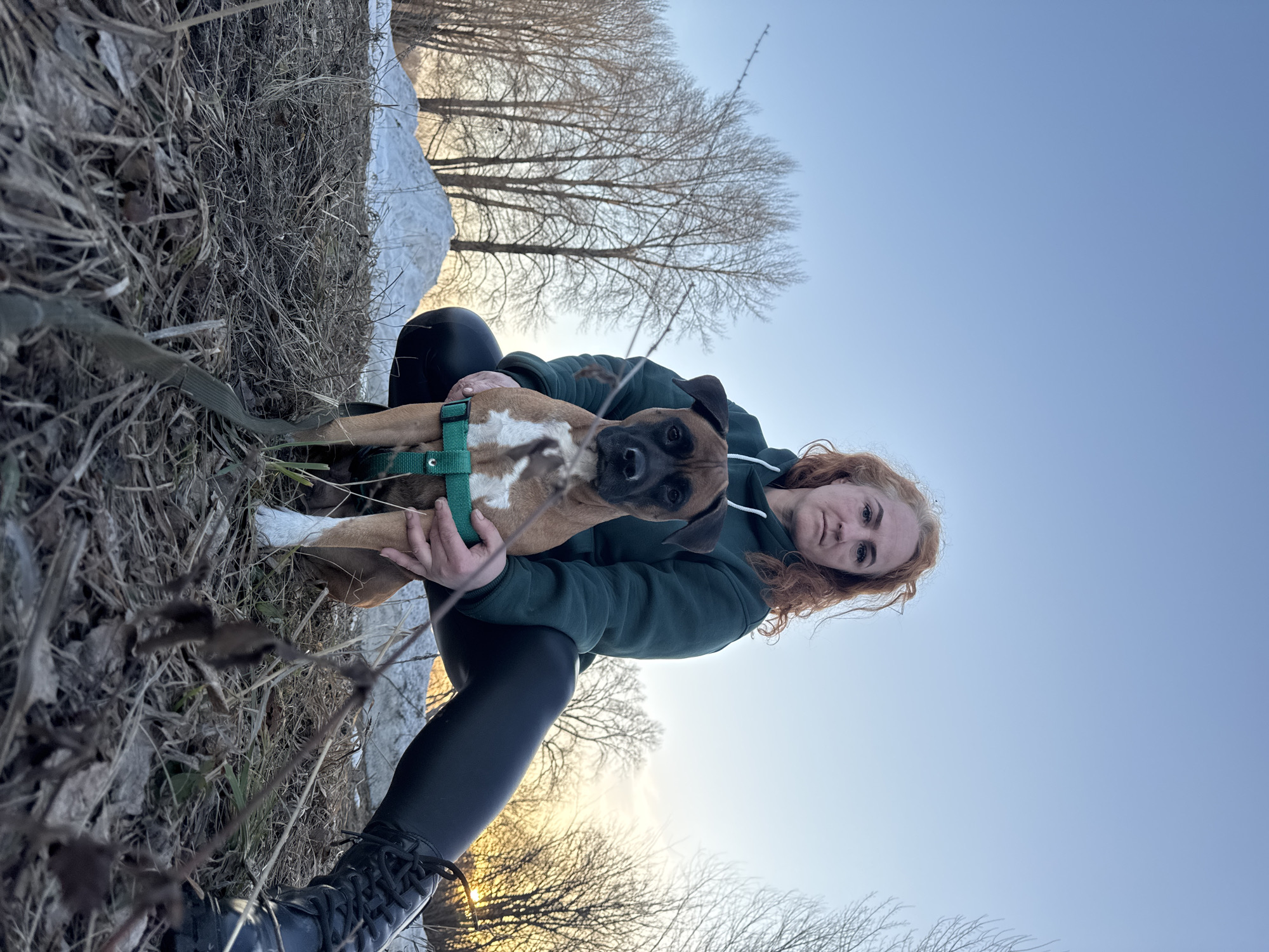 The image depicts a red-haired woman in black leggings, a dark green hoodie, and black boots, holding a brown-and-white Boxer puppy with a green harness. They are in an outdoor setting. The ground is covered in dry vegetation with patches of snow. Bare trees are visible in the background against a light blue sky, possibly at sunset or sunrise given the low sun angle. Location: Possibly near the city of Chaikovsky, Russia.