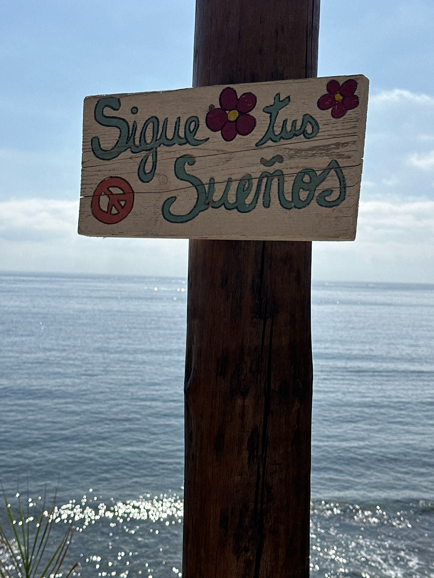 A weathered wooden sign is affixed to a vertical wooden post, positioned outdoors with the ocean and sky as the background. The sign is light-colored and features hand-painted text in turquoise blue, which reads "Sigue tus sueños" (Follow your dreams). There are also decorative elements: two red flowers with yellow centers are painted on the top right of the sign, and another red flower with a yellow center is painted on the top left. To the left of the text, a red peace symbol is painted. The ocean, a deep blue, stretches across the horizon and appears to be calm with small, shimmering reflections of sunlight on its surface. The sky above is a pale blue with some wispy white clouds. A narrow, green plant with long, spiky leaves is visible in the lower left corner of the image, partially obscuring the foreground. The overall setting suggests a coastal location, possibly a beach or a promenade in Xàbia/Jávea, Spain, given the characteristic blue waters and Mediterranean light. There are no people visible in the image.