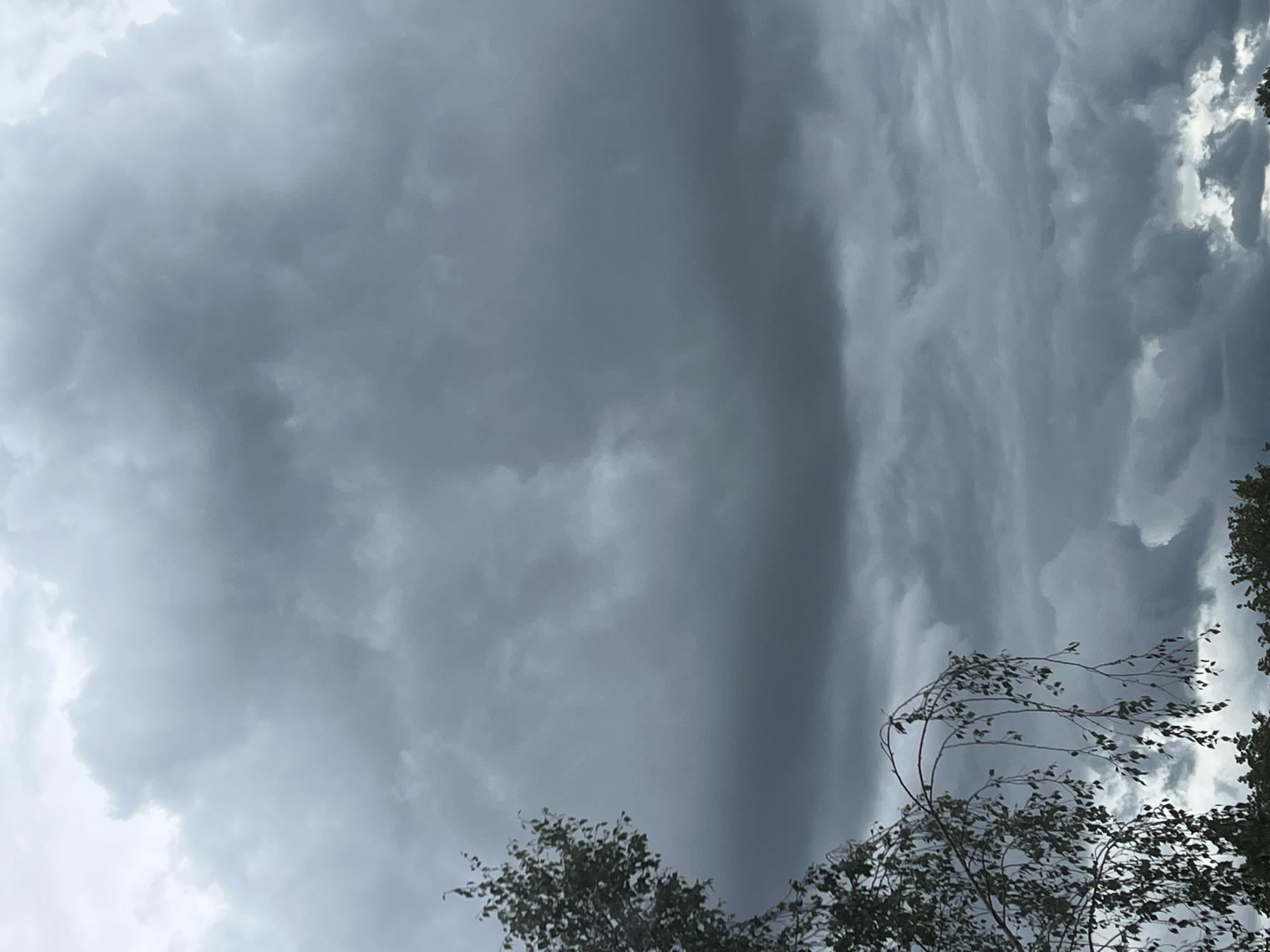 The image depicts a cloudy sky over what appears to be a park or natural area within Warsaw, Poland. The sky is predominantly filled with heavy, dark gray clouds, suggesting overcast weather or an impending storm. In the foreground and left side of the image, the branches and leaves of a tree, possibly a birch due to its slender branches and foliage, are visible. The tree branches are drooping downwards. The lower edge of the image shows the tops of other trees, with dark green foliage. The overall scene conveys a somber and potentially dramatic atmosphere due to the dark clouds and the silhouette of the trees. No people or specific urban structures are clearly identifiable, but the presence of mature trees suggests an outdoor, possibly park-like setting within the city.