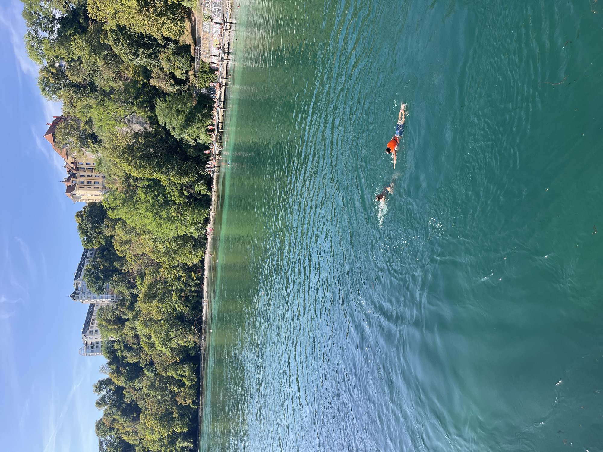 The image shows a wide, turquoise river with two people swimming. In the foreground, one person swims with their head out of the water, while the other, wearing an orange life vest and patterned swim trunks, swims with their face down. The riverbank in the background is lined with trees and a promenade, with people sunbathing and standing on wooden structures extending into the water. Further back, residential buildings are visible on a hill covered with lush greenery, characteristic of the Geneva landscape. The sky is clear and blue. This scene is likely the Rhône River in Geneva, Switzerland, near the Pont du Mont-Blanc, a popular spot for swimming and recreation.