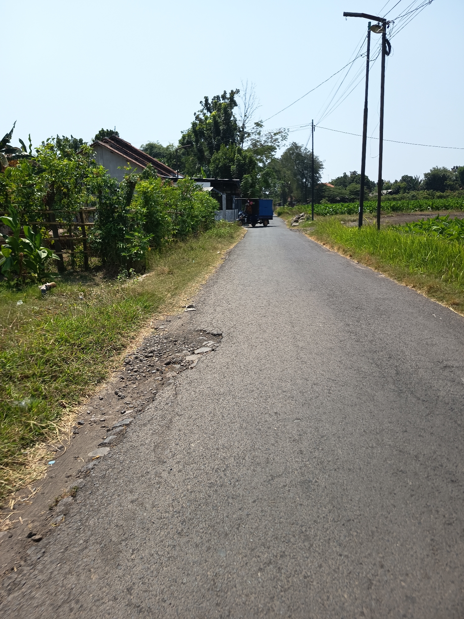 The image depicts a rural scene in Kandangjati Wetan, Indonesia. A gray asphalt road, showing signs of wear and tear with some potholes on the left shoulder, stretches into the distance. To the left of the road, there is a dense line of green vegetation and trees, with a partial view of a residential building with a red-tiled roof behind the foliage. A bamboo fence is also visible within this vegetated area. Further down the road, a small blue vehicle, possibly a three-wheeled motorcycle with a cargo box, is moving away from the viewer. To the right of the road, a field of green crops, likely corn or a similar agricultural plant, is visible, bordered by more vegetation. Utility poles with overhead power lines are present on both sides of the road, suggesting access to electricity. The sky is clear and blue, indicating a sunny day. The overall impression is of a quiet, everyday scene in a semi-rural Indonesian setting.