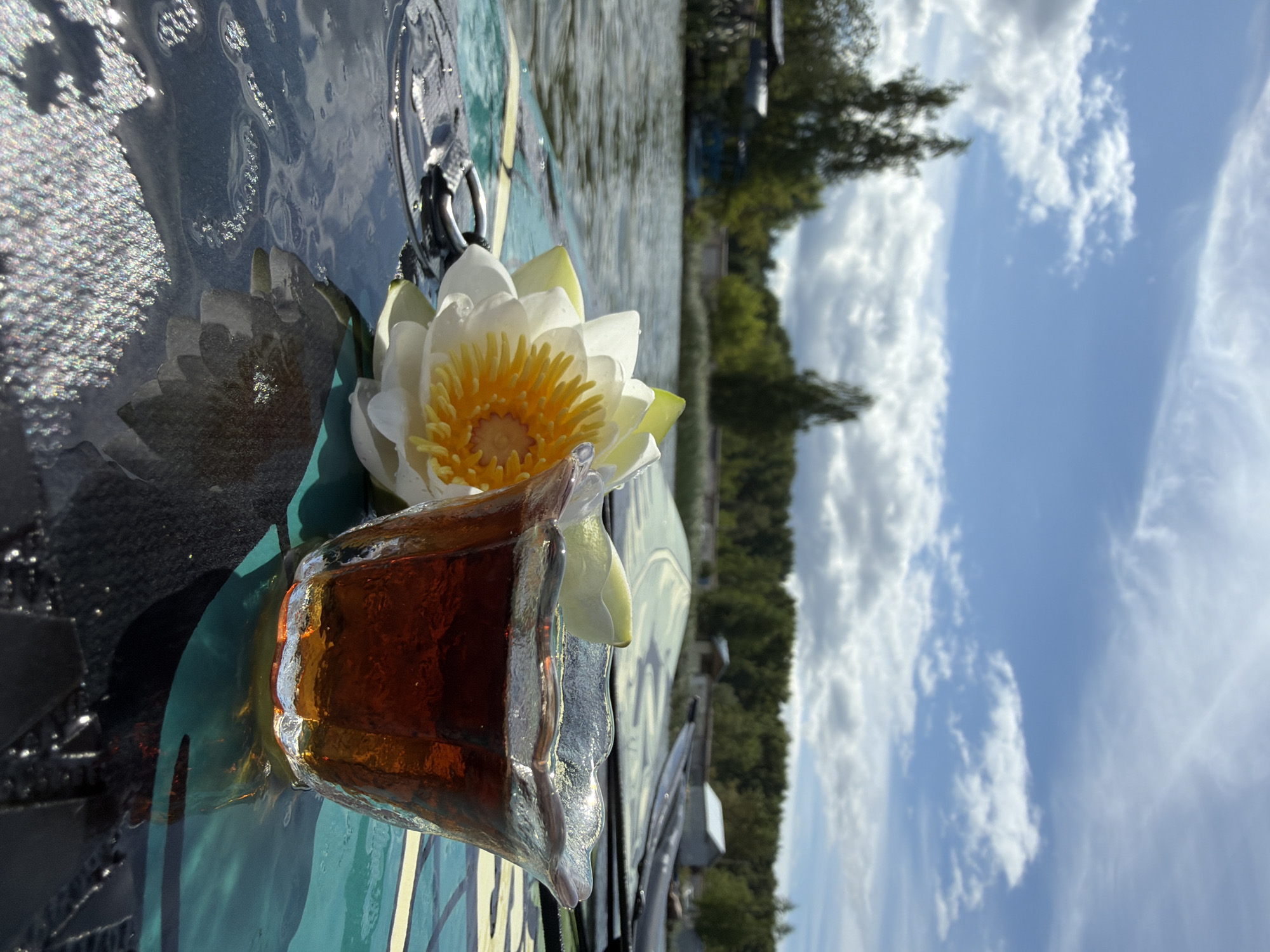 A white water lily and a glass of dark amber liquid are placed on a green and black surface, possibly a paddleboard, on the water. The background shows a body of water, trees, and a cloudy blue sky. The scene is likely outdoors in a natural setting. There are no people or animals visible in the image. The location of Chaikovsky, Russia is not discernible from the visual information provided in the image.