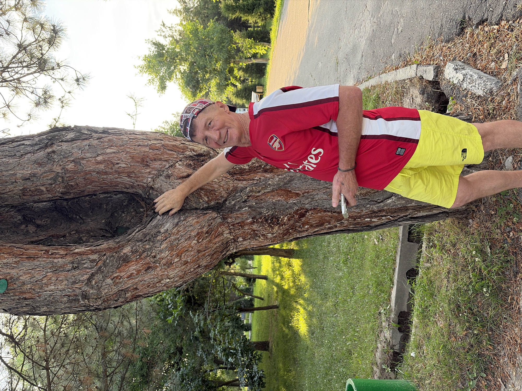 A man wearing a red Arsenal jersey and yellow shorts stands leaning against a large tree with a hollow in its trunk. He holds a smartphone in his right hand and has his left hand resting on the tree. The background shows a park-like setting with grass, trees, and a paved path. The sun is setting, casting long shadows across the grass. A green trash can is visible to the left of the frame.